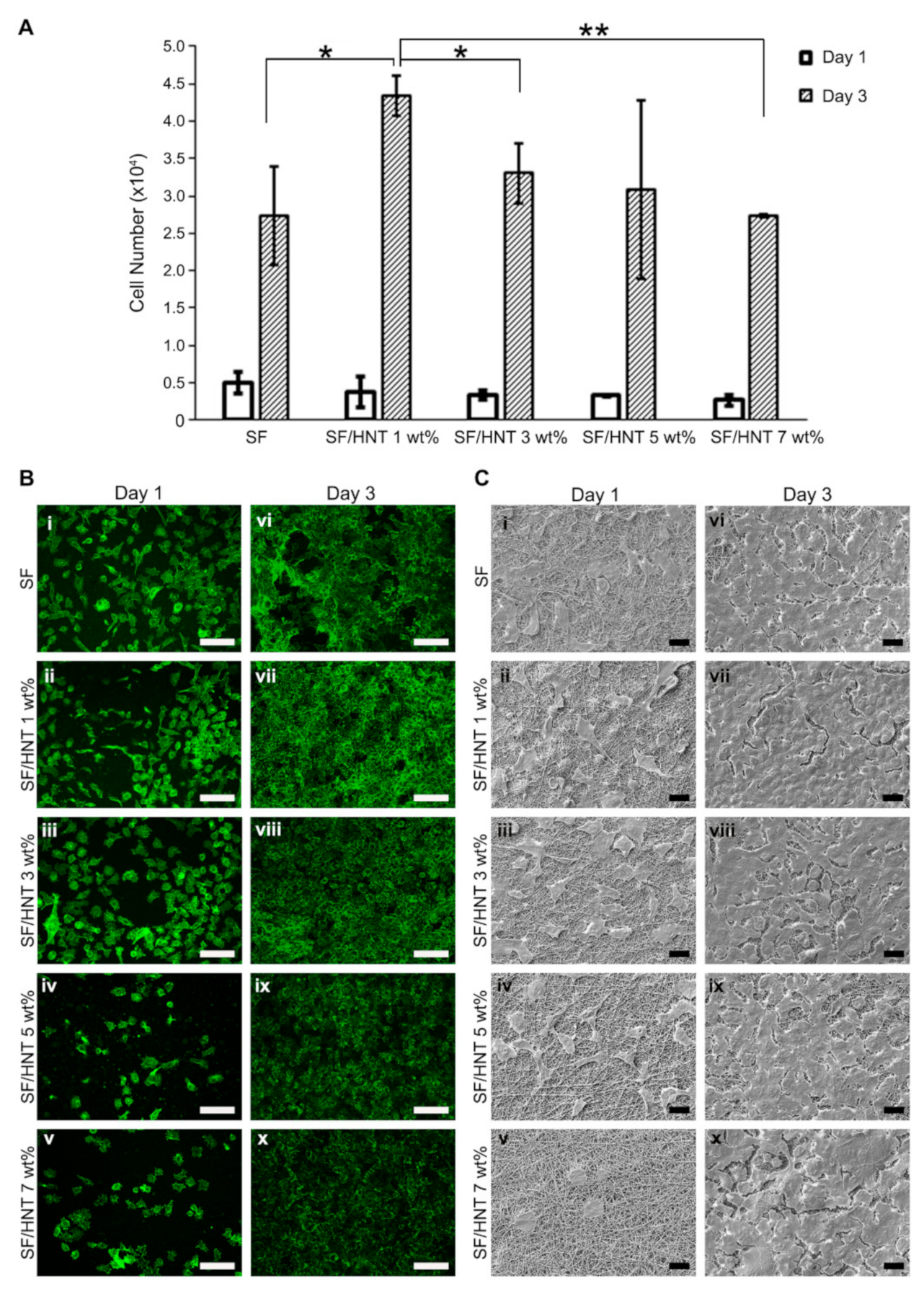 Polymers 14 03004 g006 550