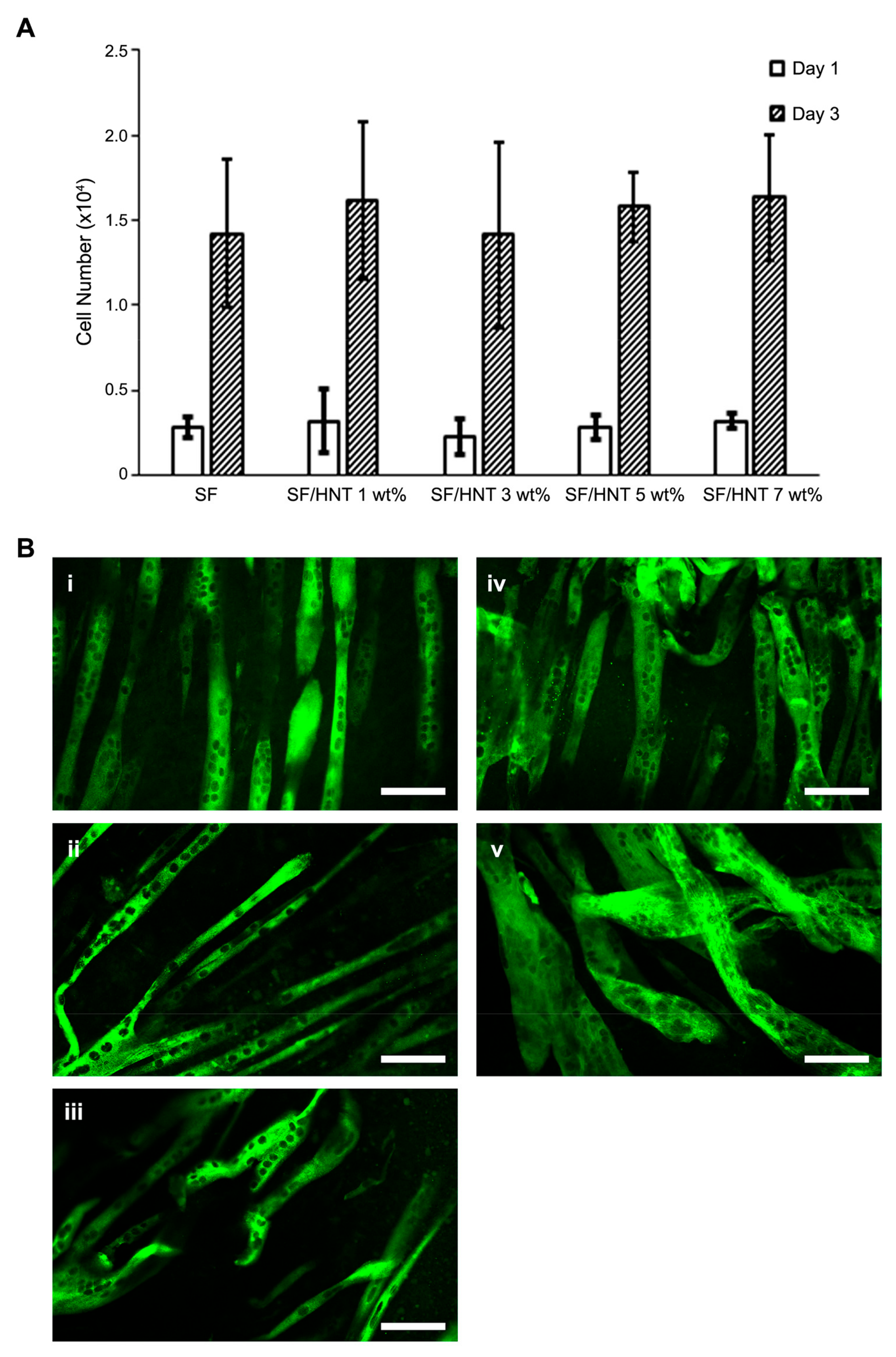 Polymers 14 03004 g007 550
