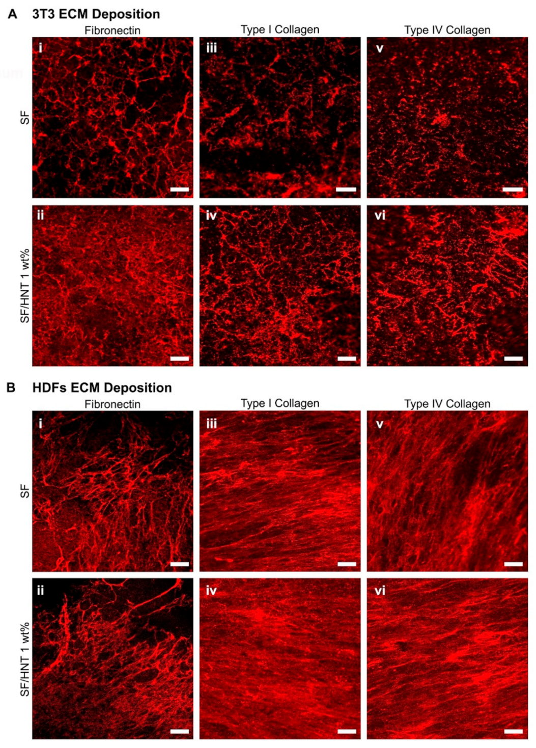 Polymers 14 03004 g008 550