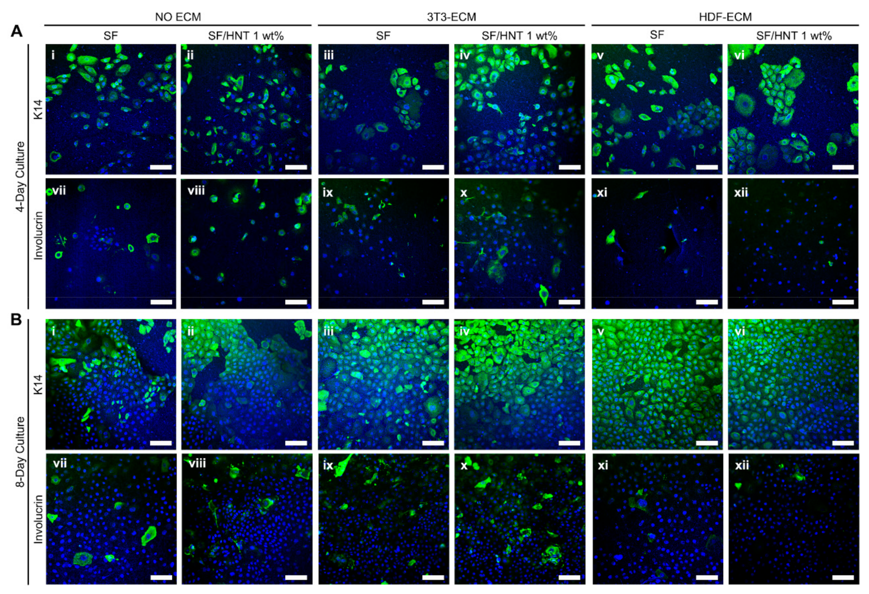 Polymers 14 03004 g009 550