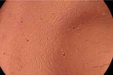 Polymers 14 03007 i003