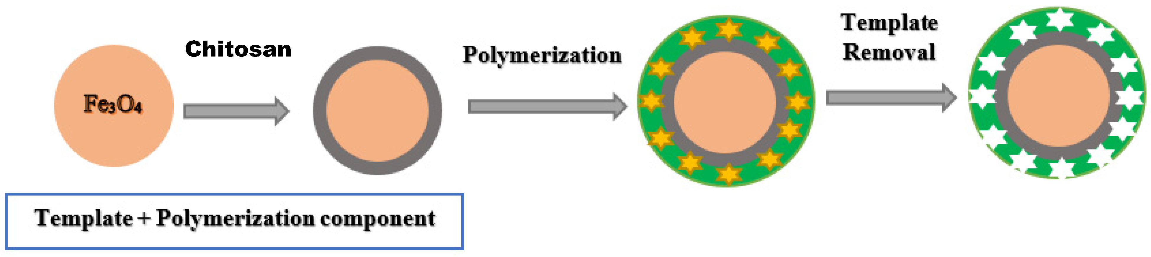 Polymers 14 03008 g003
