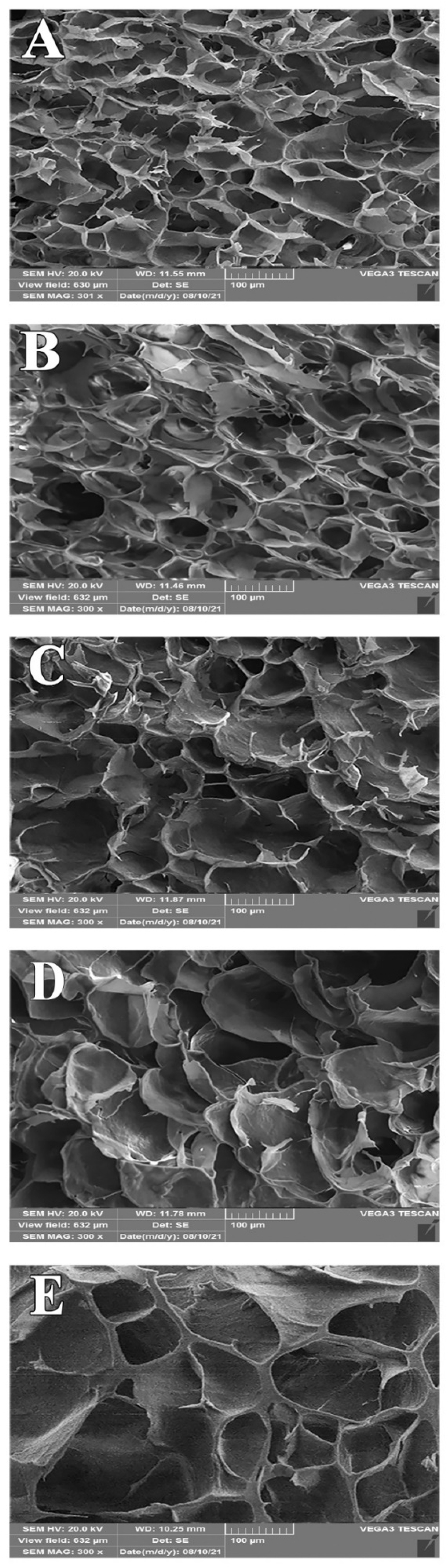 Polymers 14 03012 g002