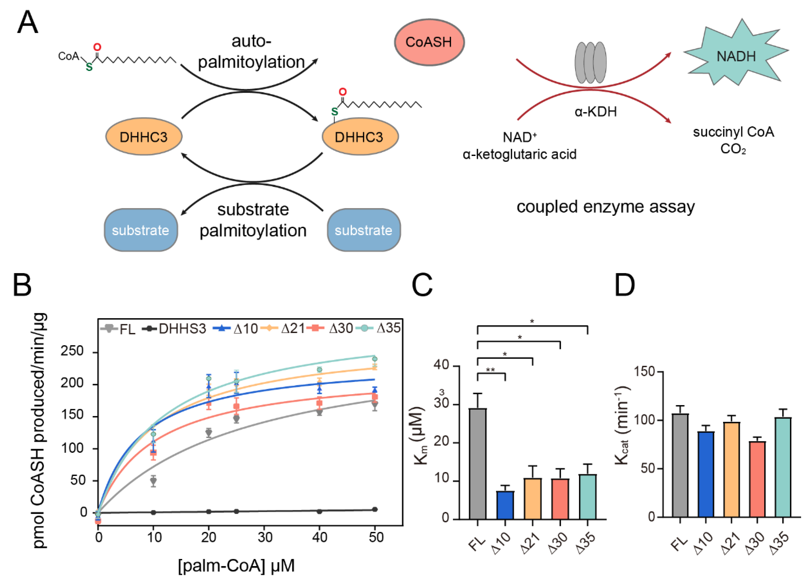Polymers 14 03013 g002