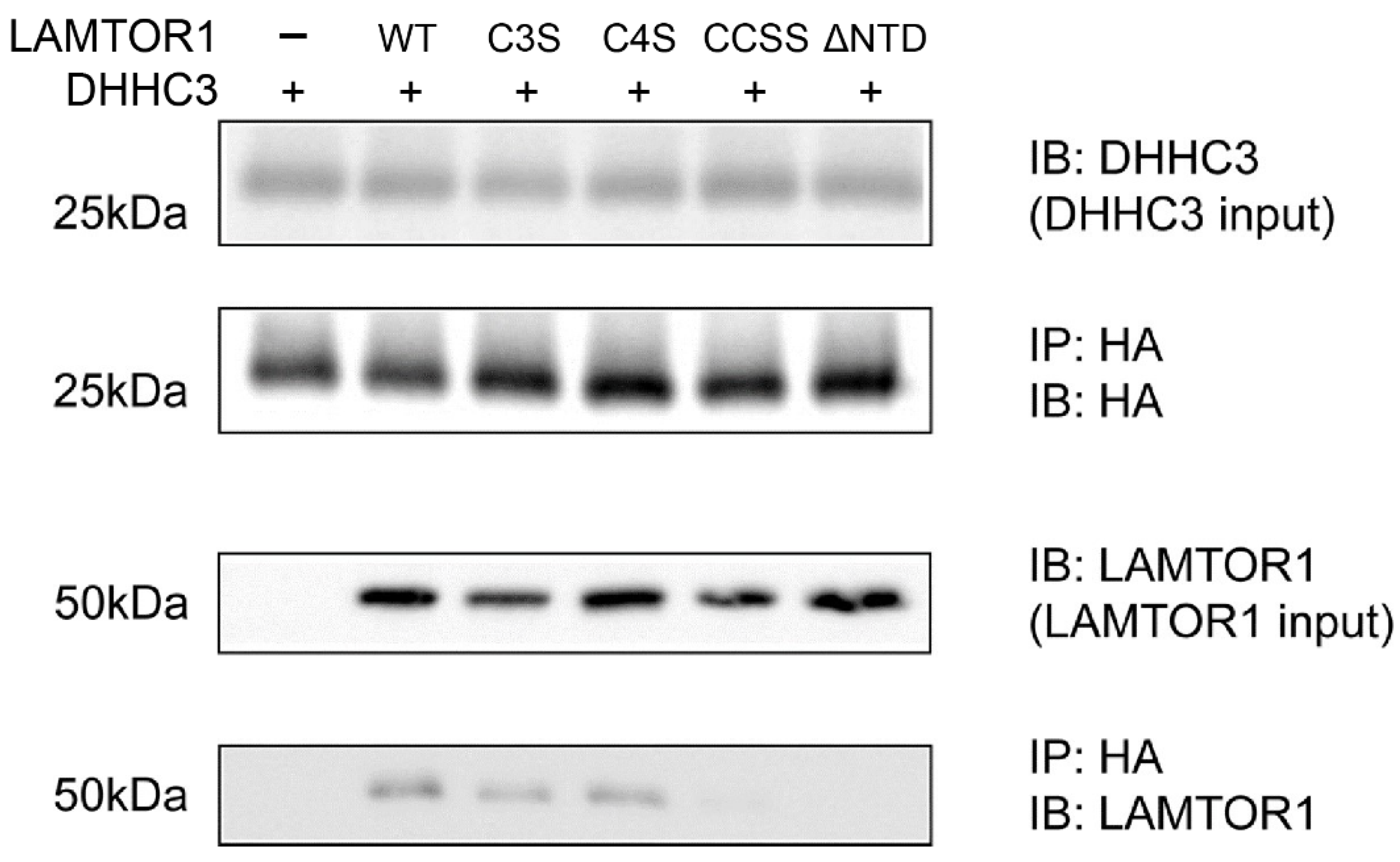 Polymers 14 03013 g003