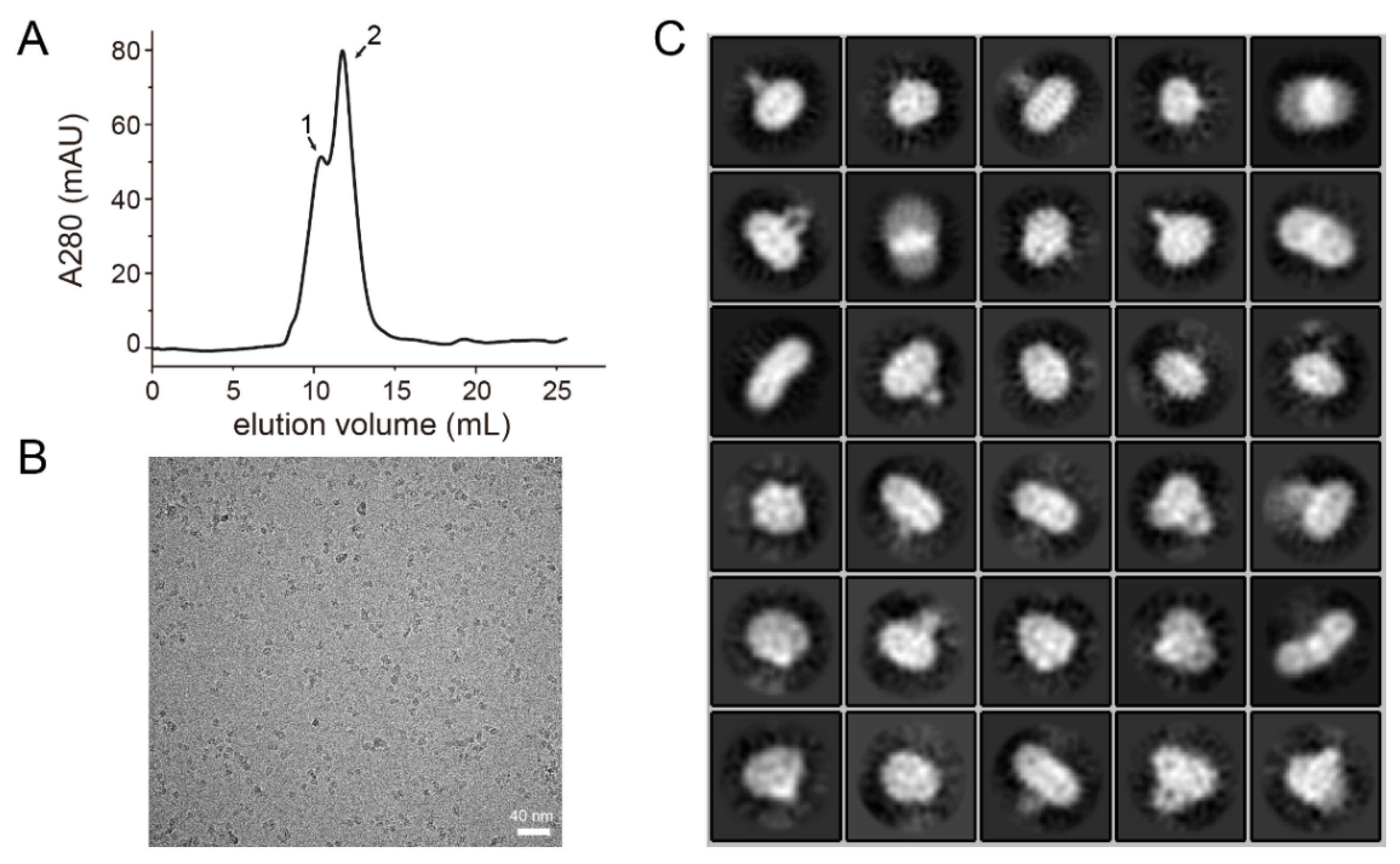 Polymers 14 03013 g004