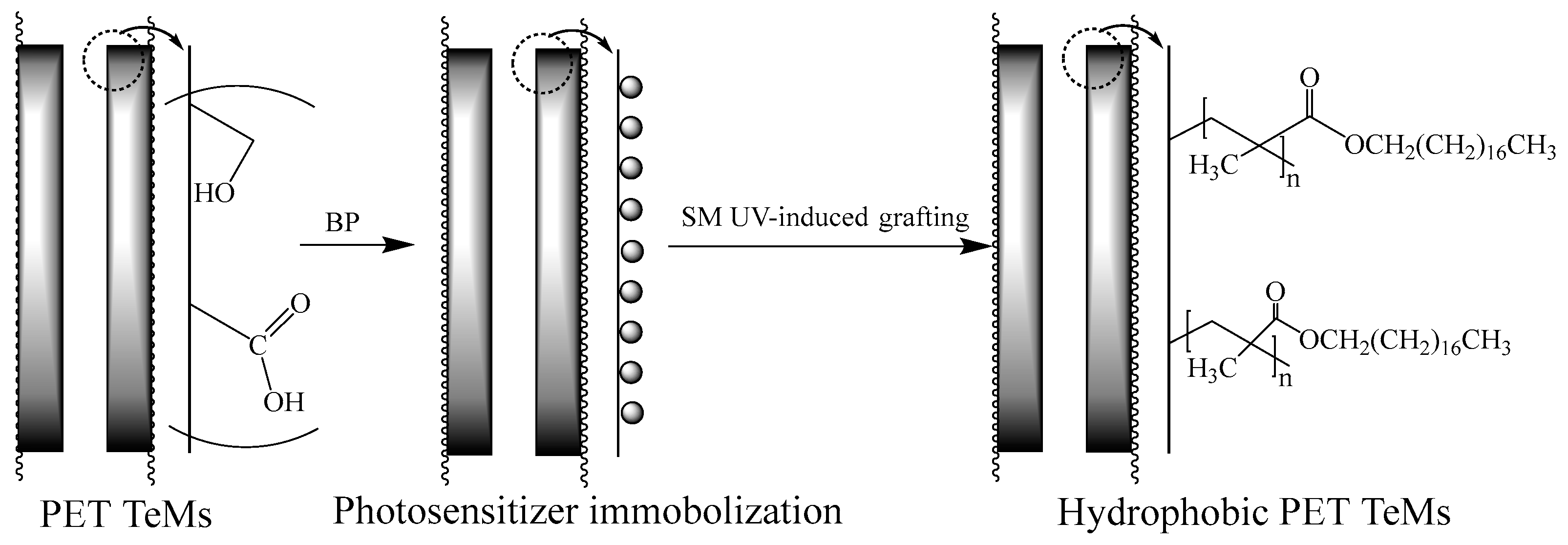 Polymers 14 03015 g001 550