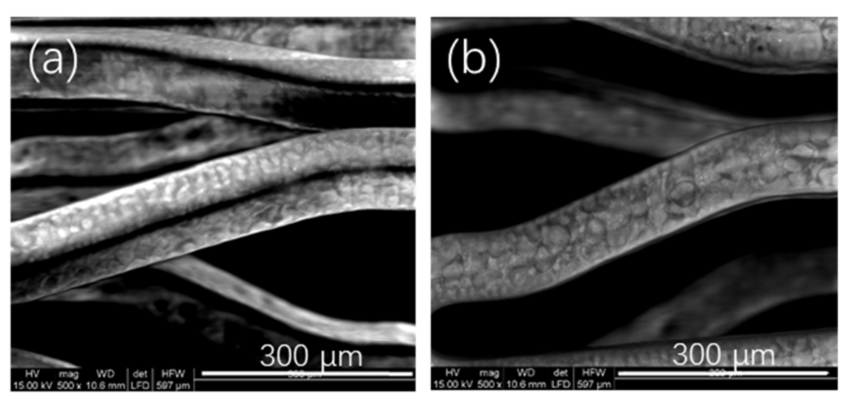 Polymers 14 03018 g001 550