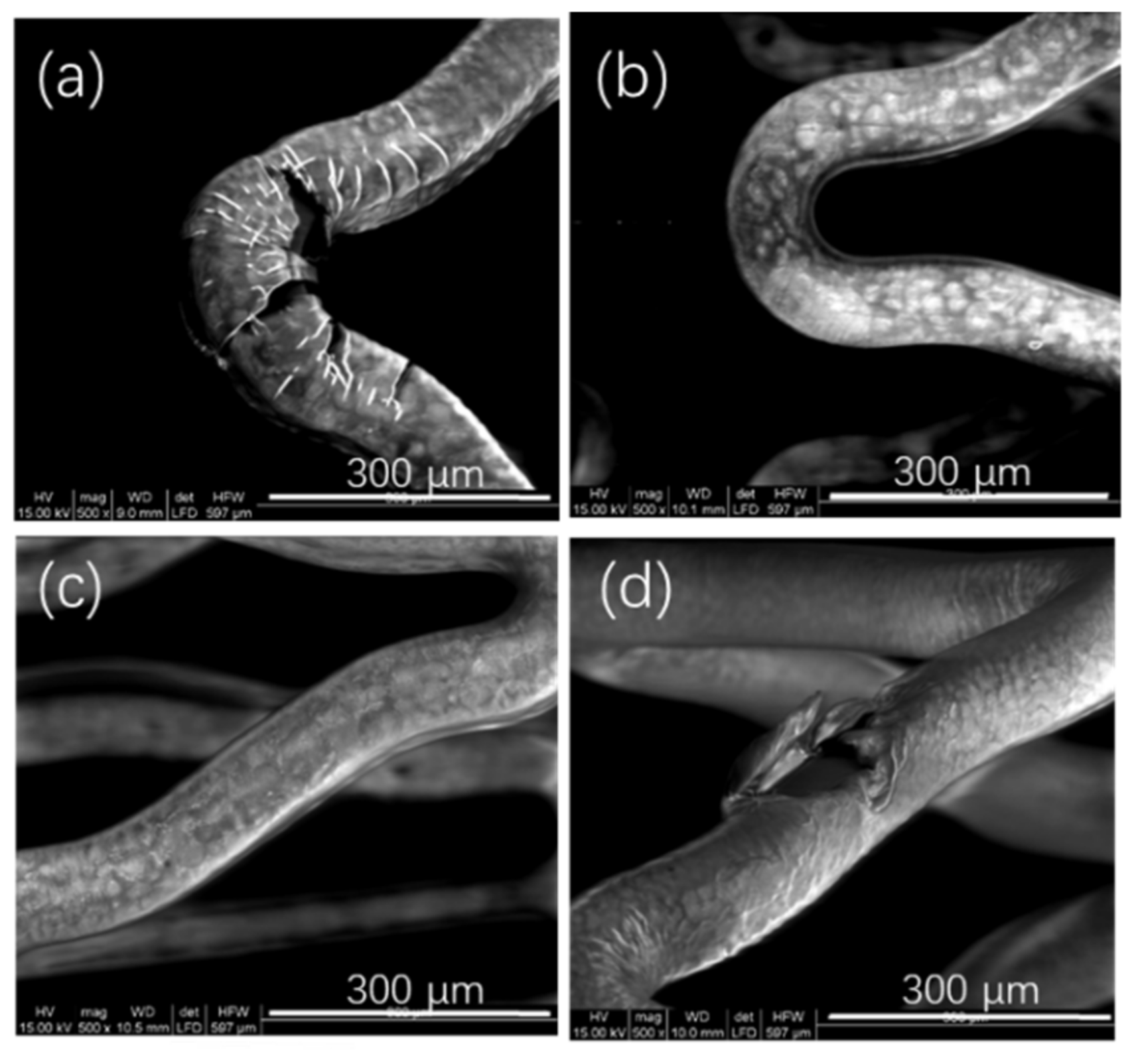 Polymers 14 03018 g003 550