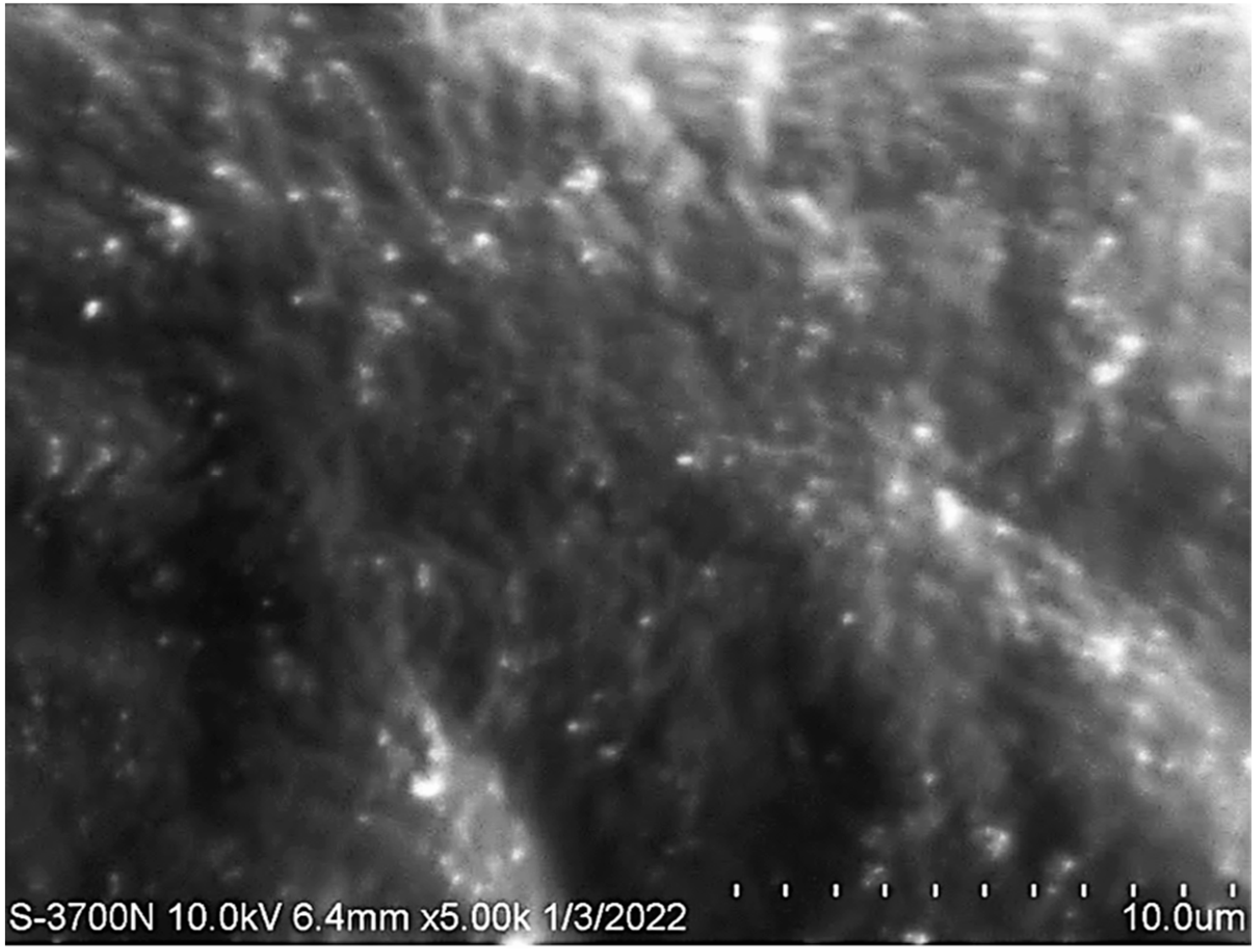 Polymers 14 03021 g008 550