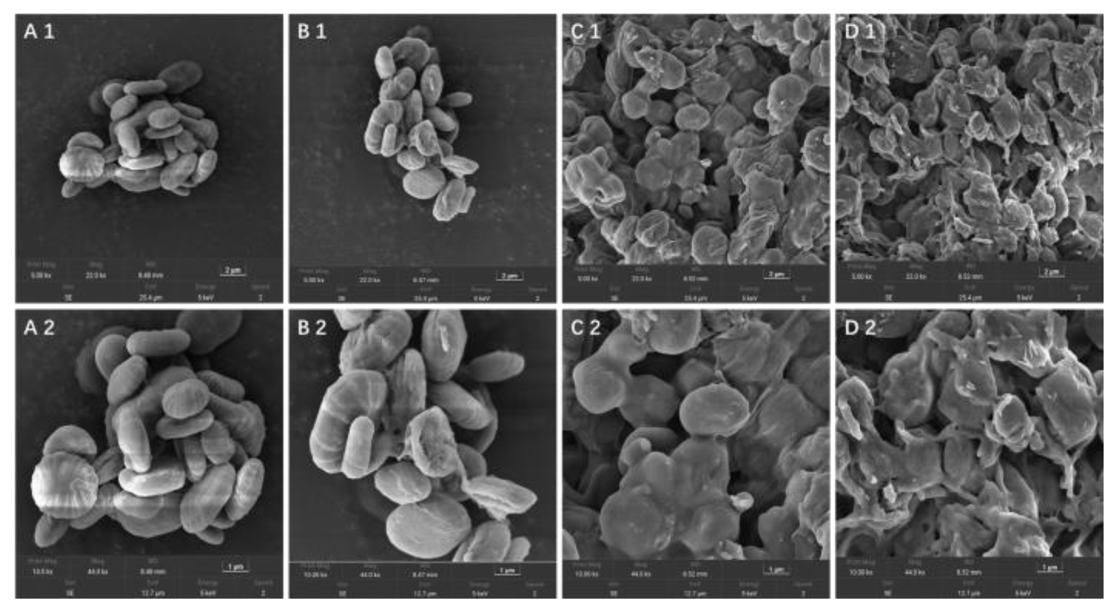 Polymers 14 03022 g005 Polymers 14 03022 g005