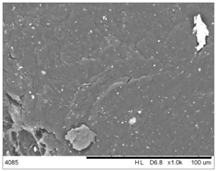 Polymers 14 03025 i003