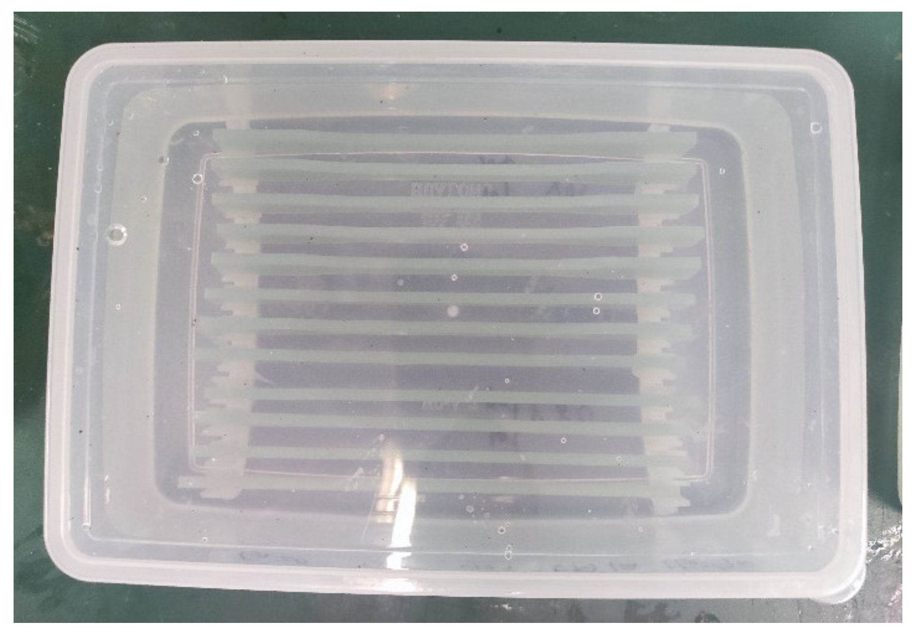 Polymers 14 03031 g002