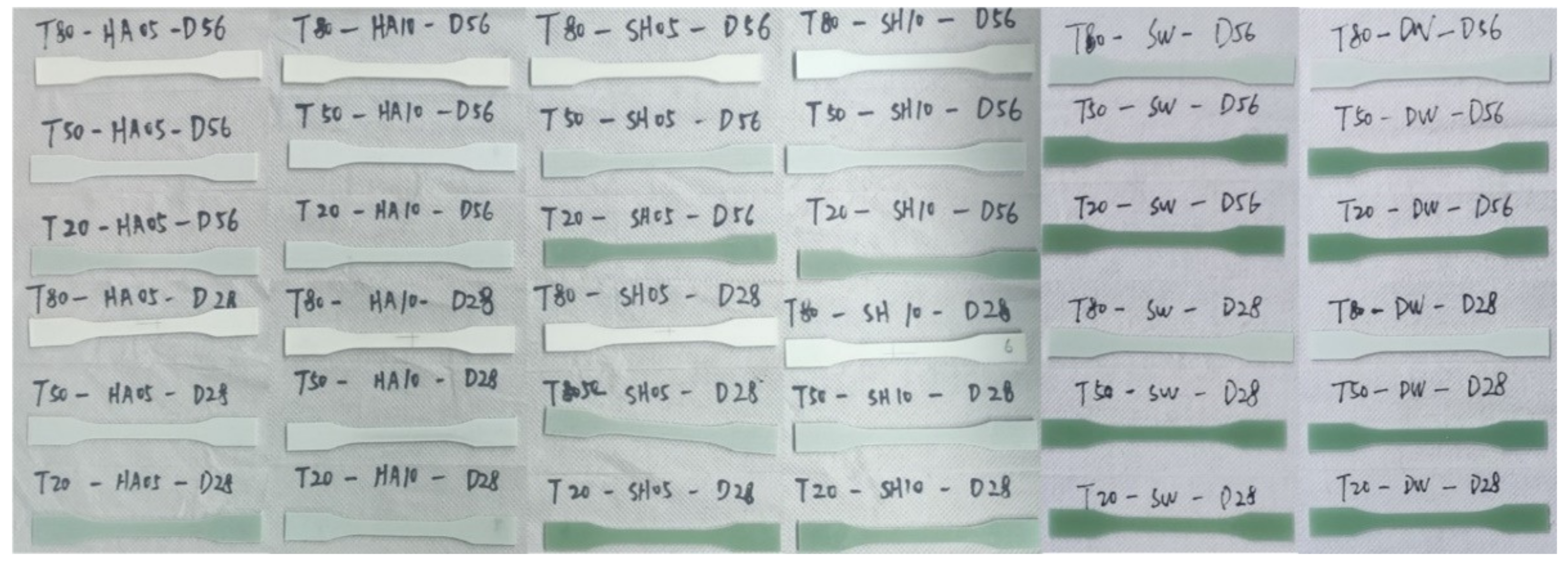 Polymers 14 03031 g005