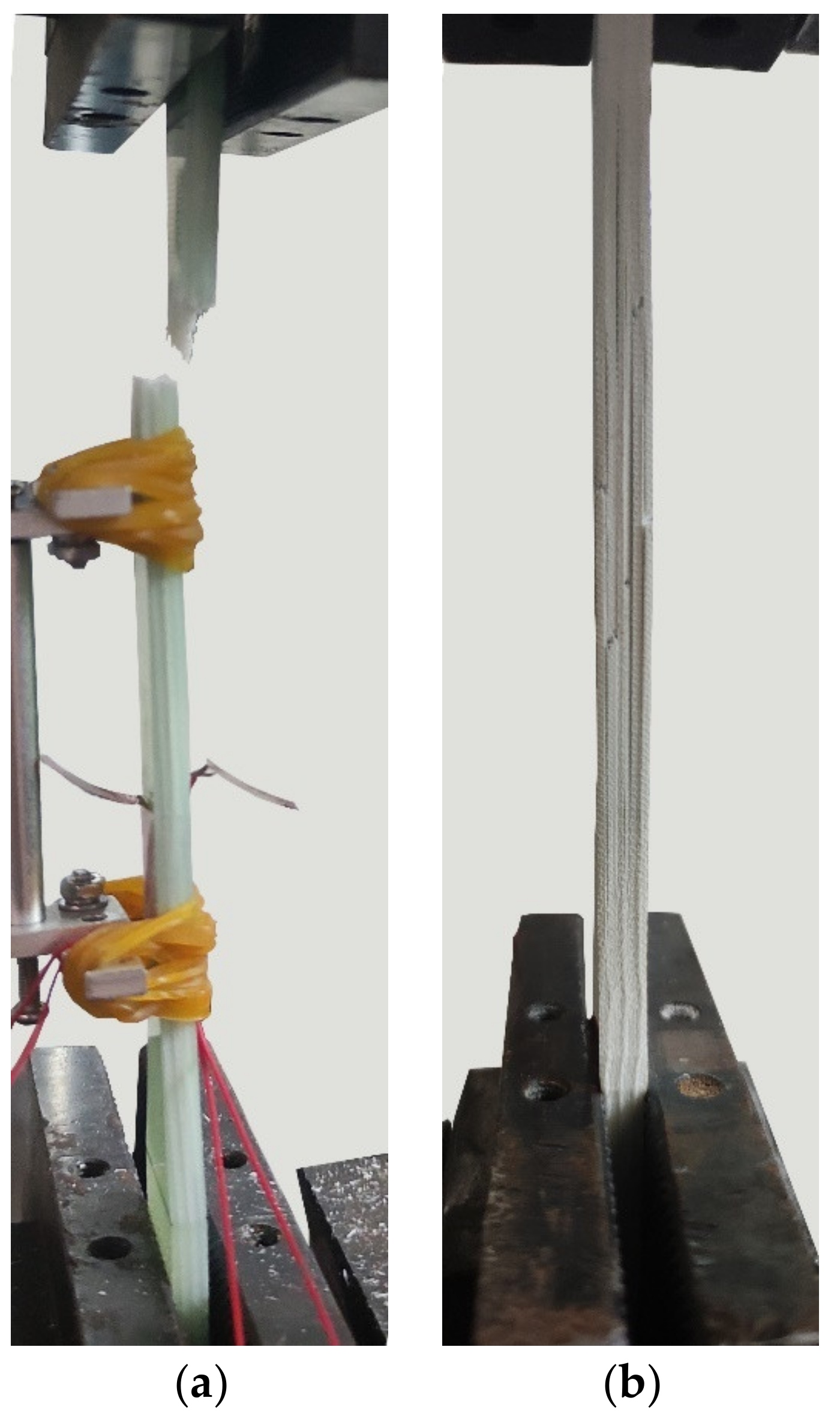 Polymers 14 03031 g008