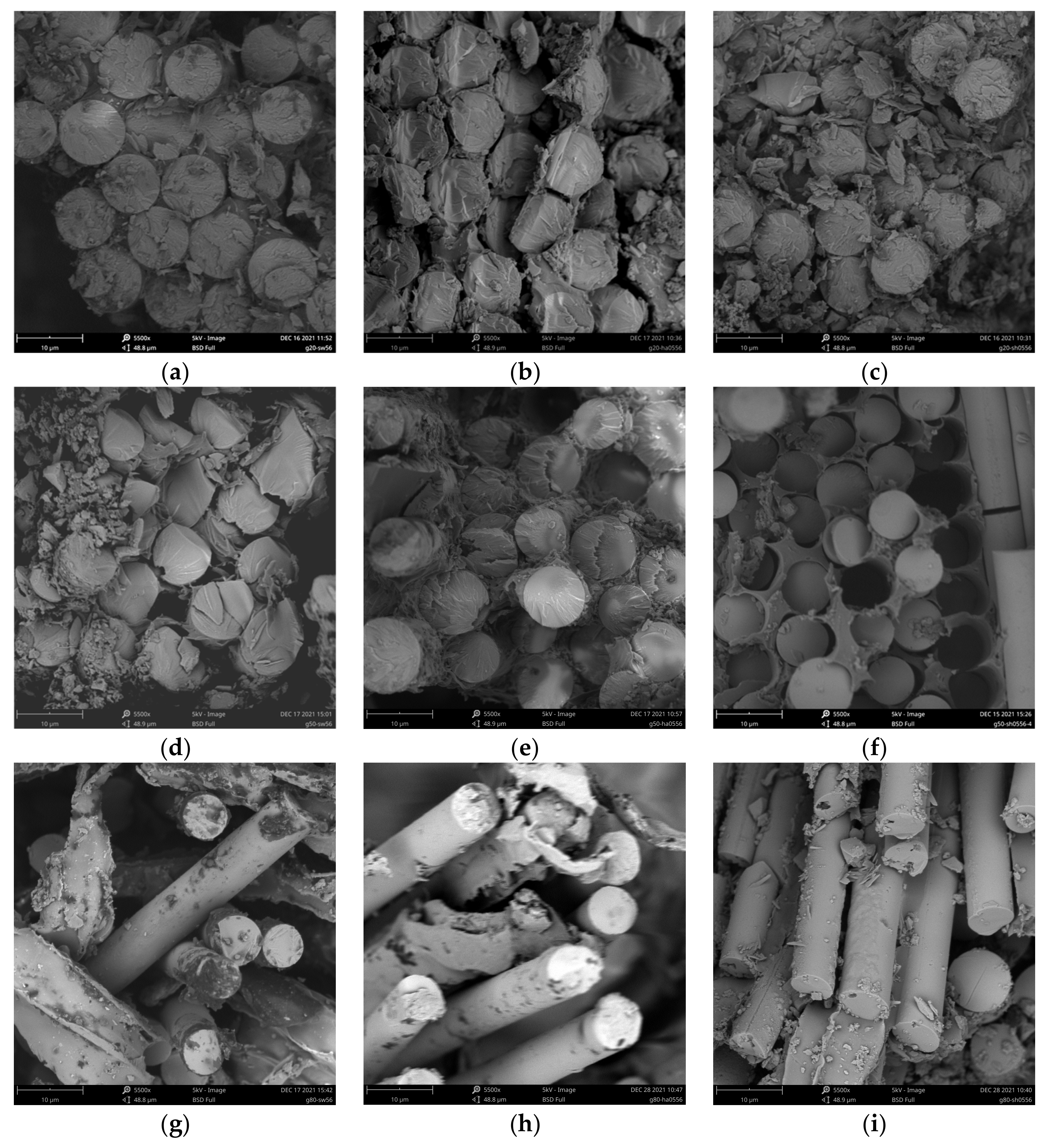 Polymers 14 03031 g012