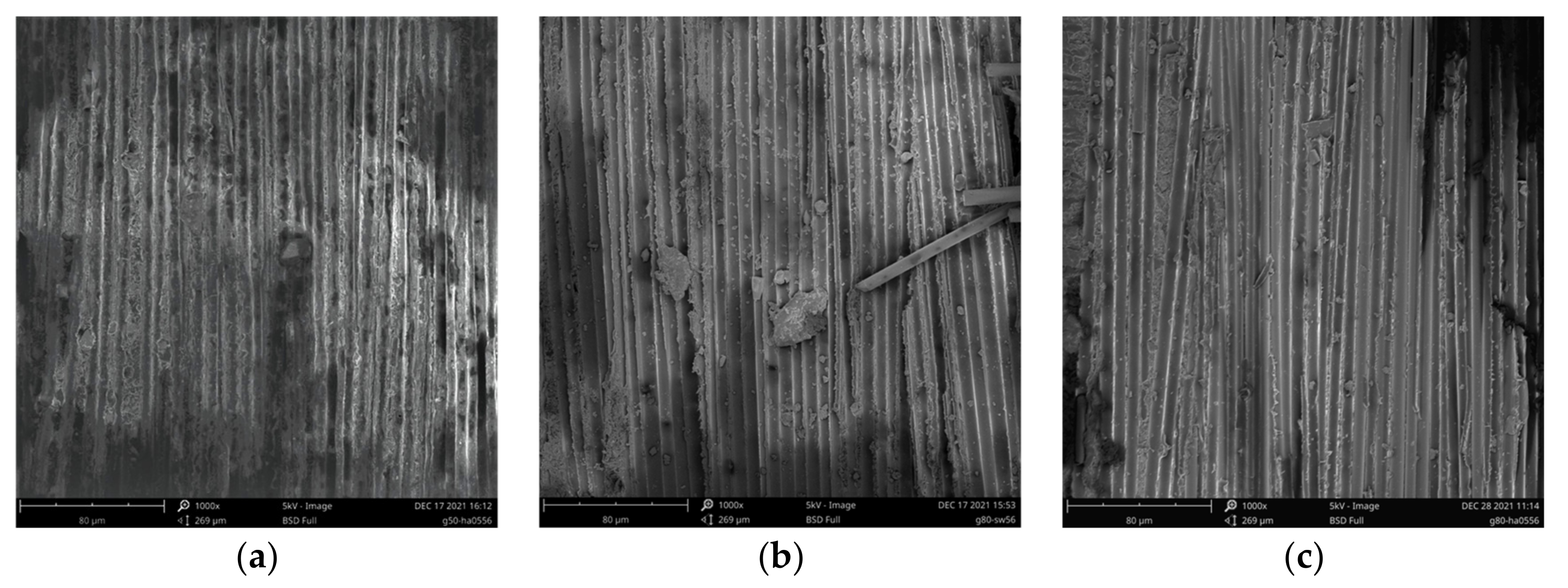 Polymers 14 03031 g013