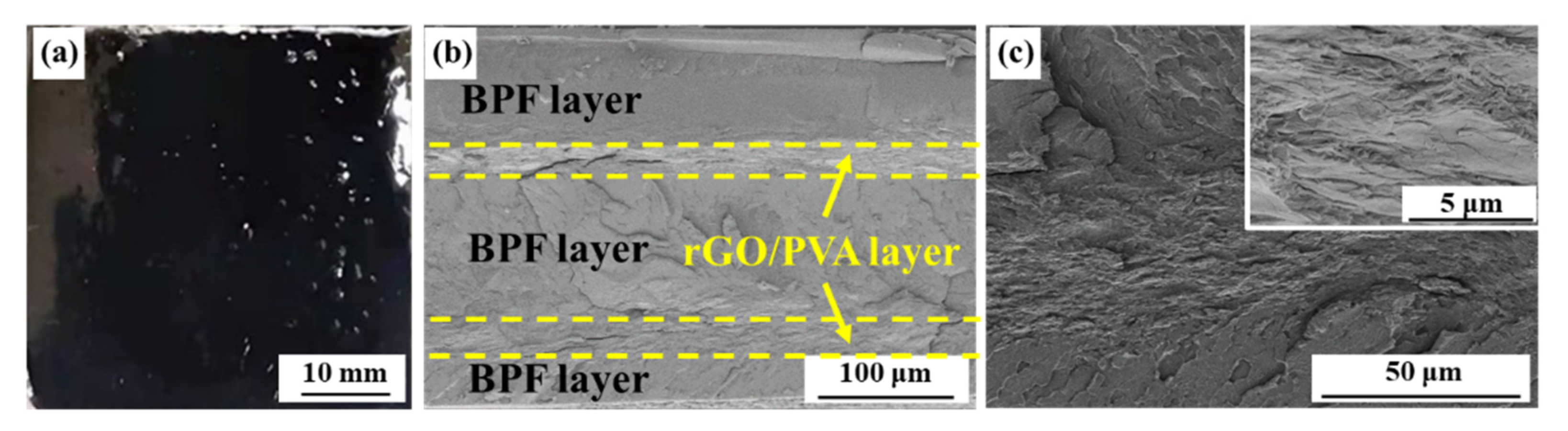 Polymers 14 03032 g005