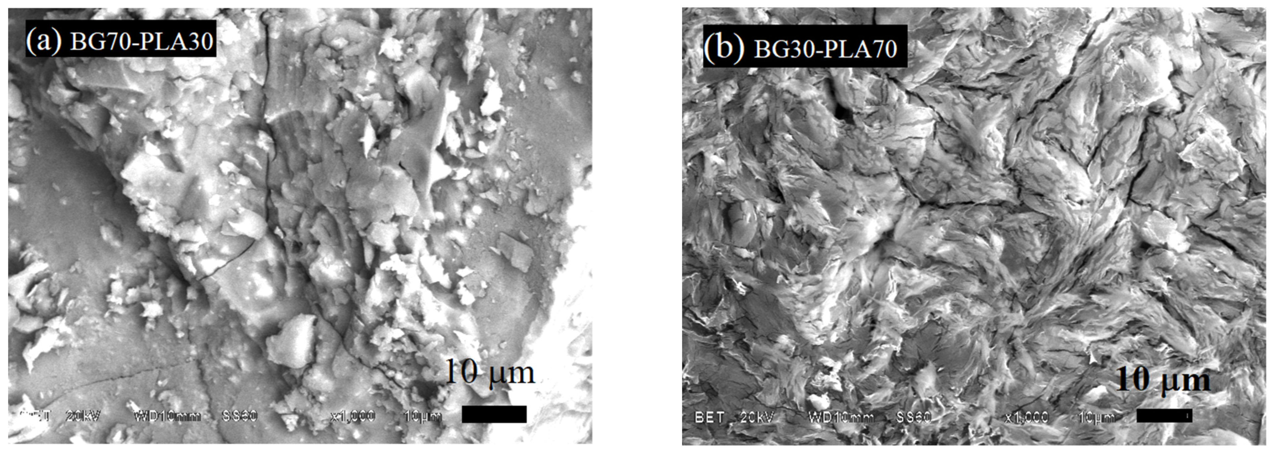 Polymers 14 03034 g008