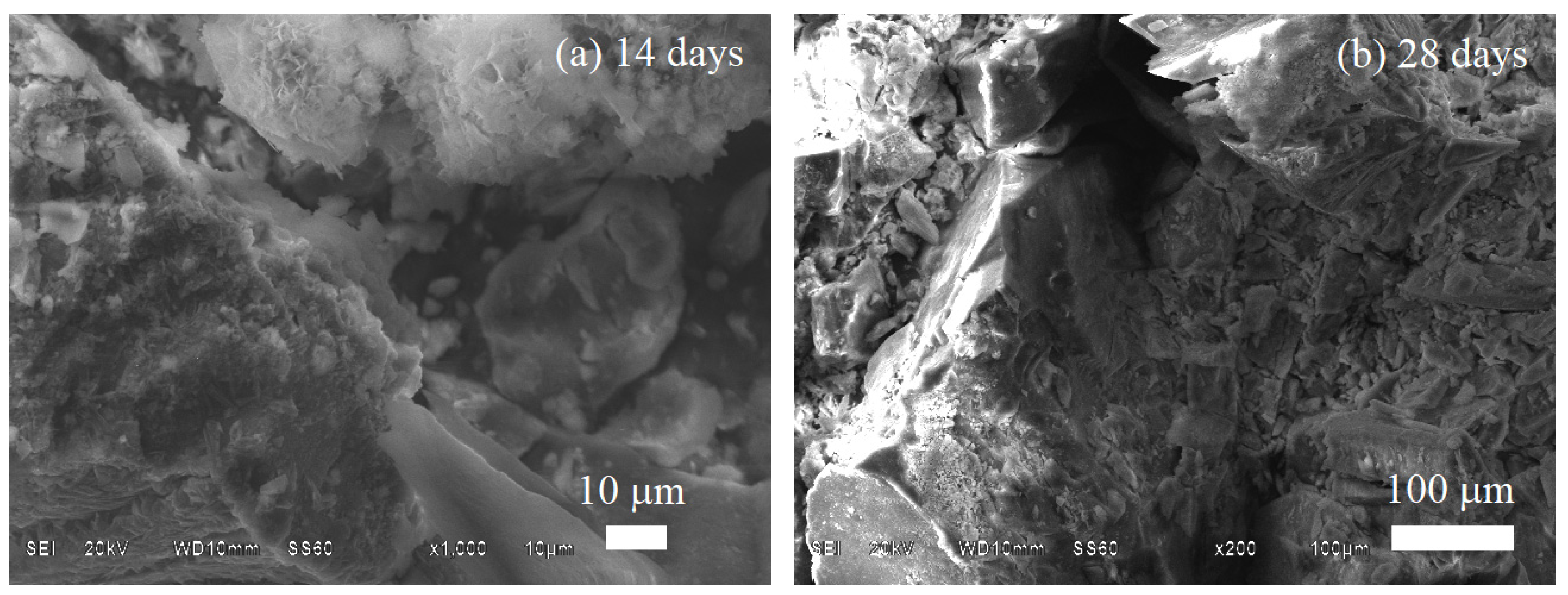 Polymers 14 03034 g011