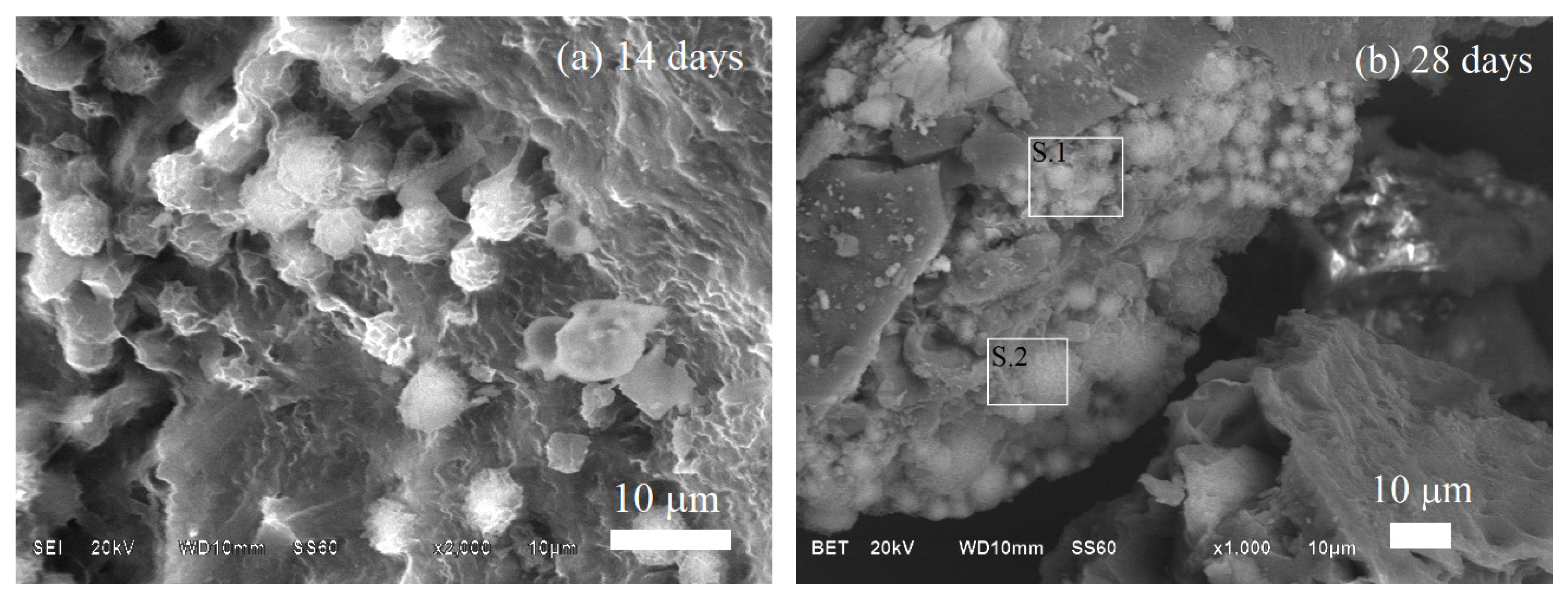 Polymers 14 03034 g012
