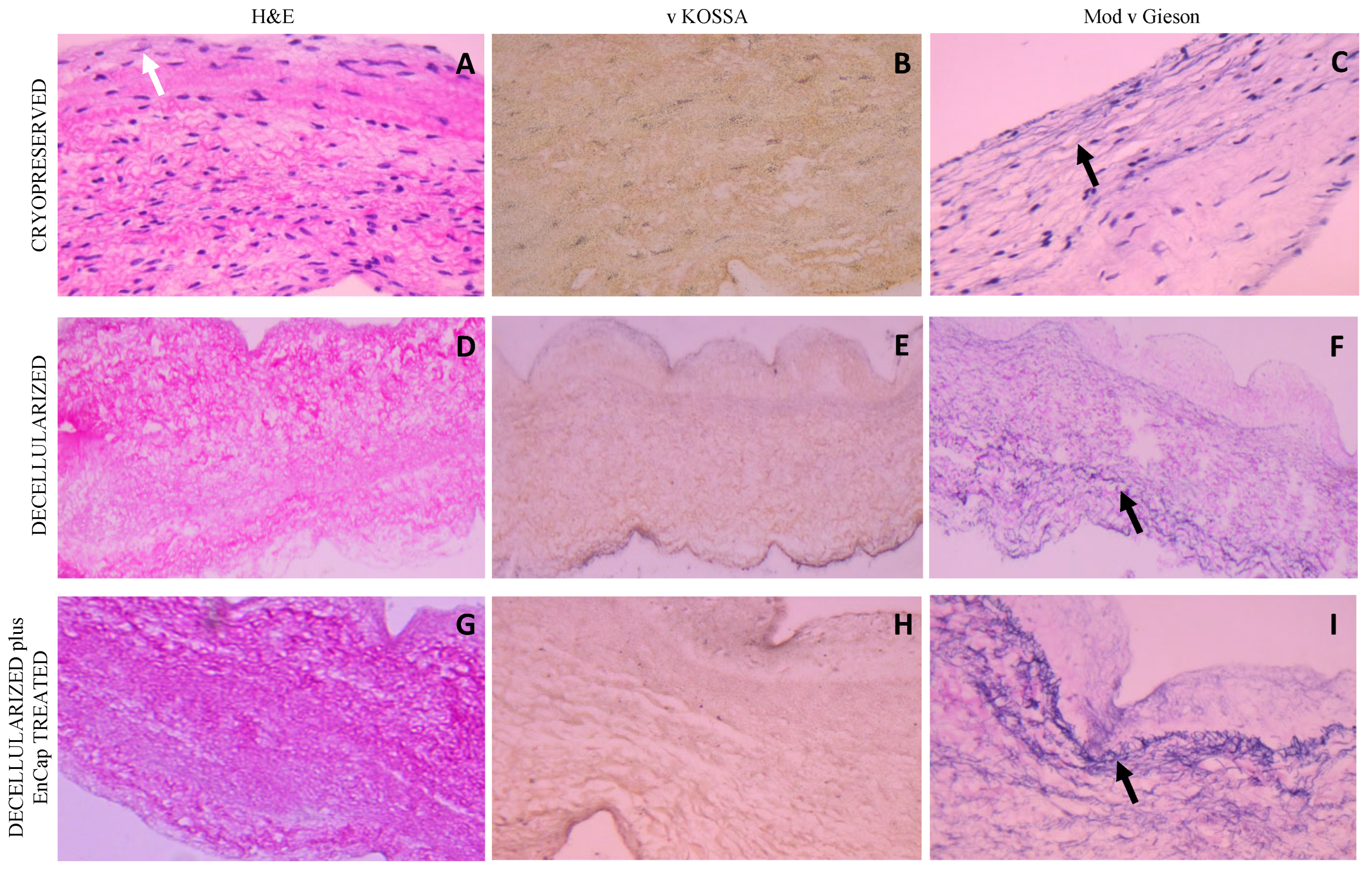 Polymers 14 03036 g004 Polymers 14 03036 g004
