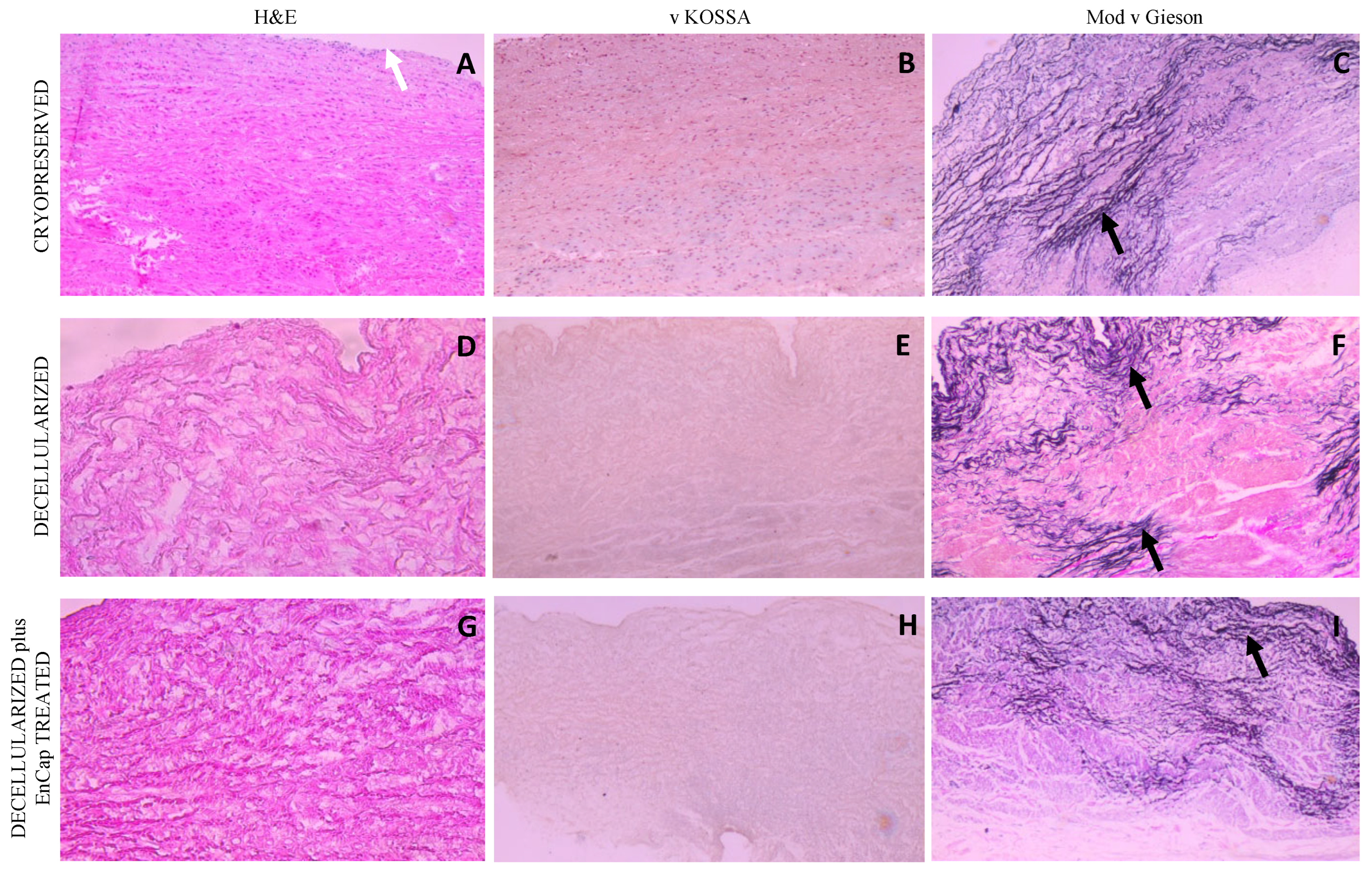 Polymers 14 03036 g005 Polymers 14 03036 g005
