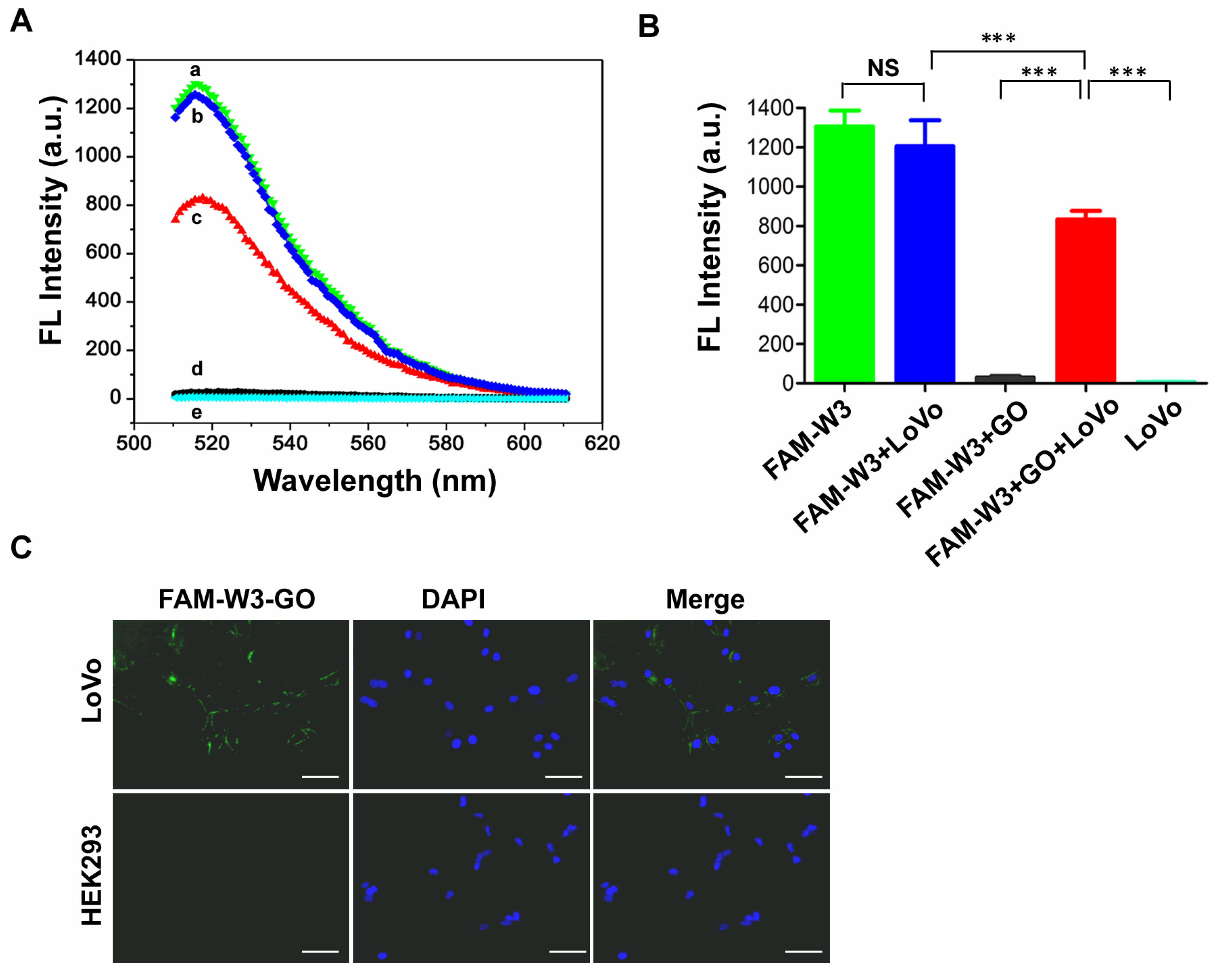 Polymers 14 03040 g001