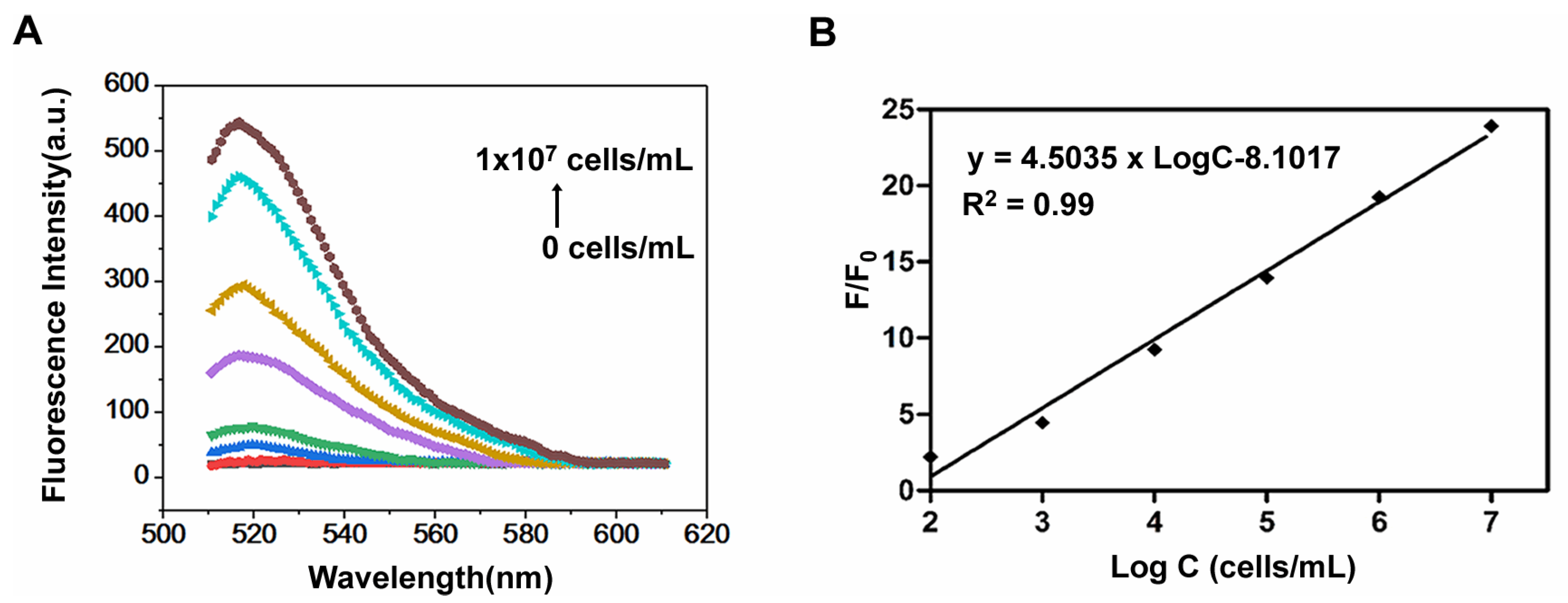 Polymers 14 03040 g004