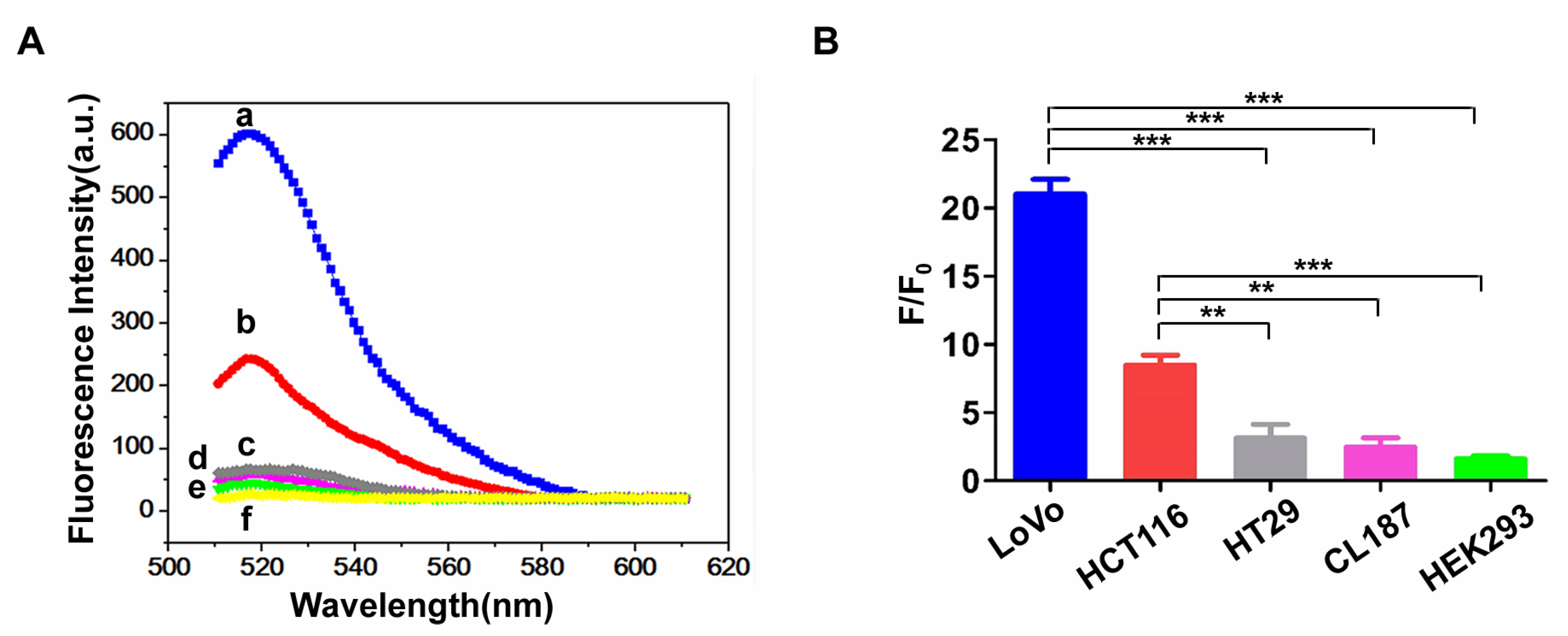 Polymers 14 03040 g005