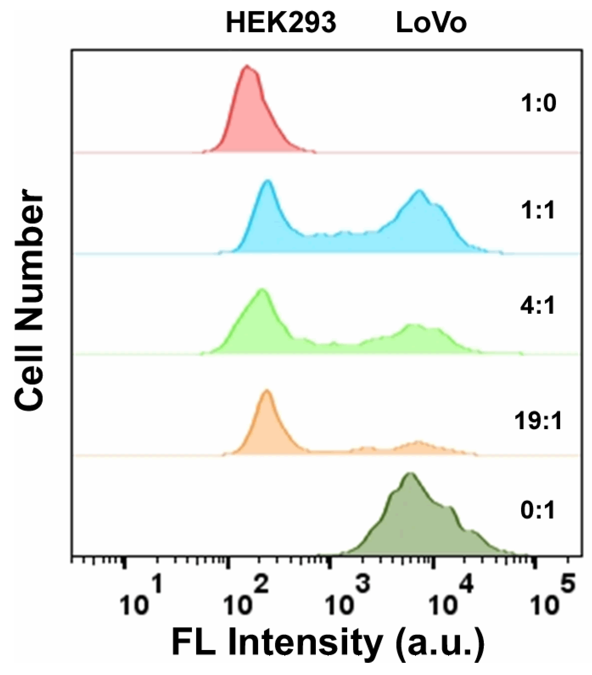 Polymers 14 03040 g006