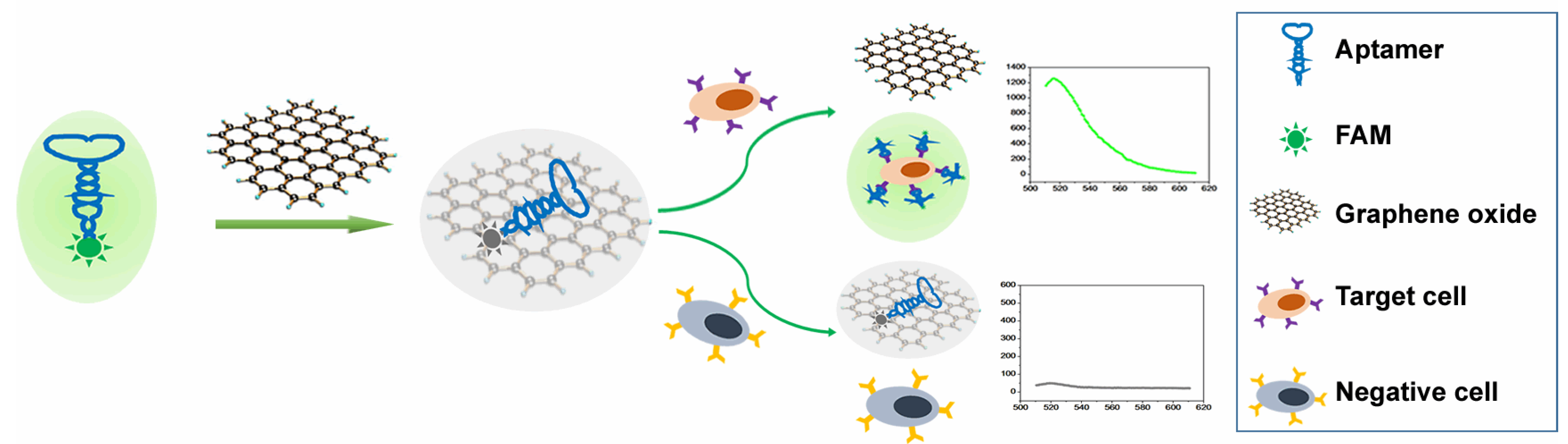 Polymers 14 03040 sch001