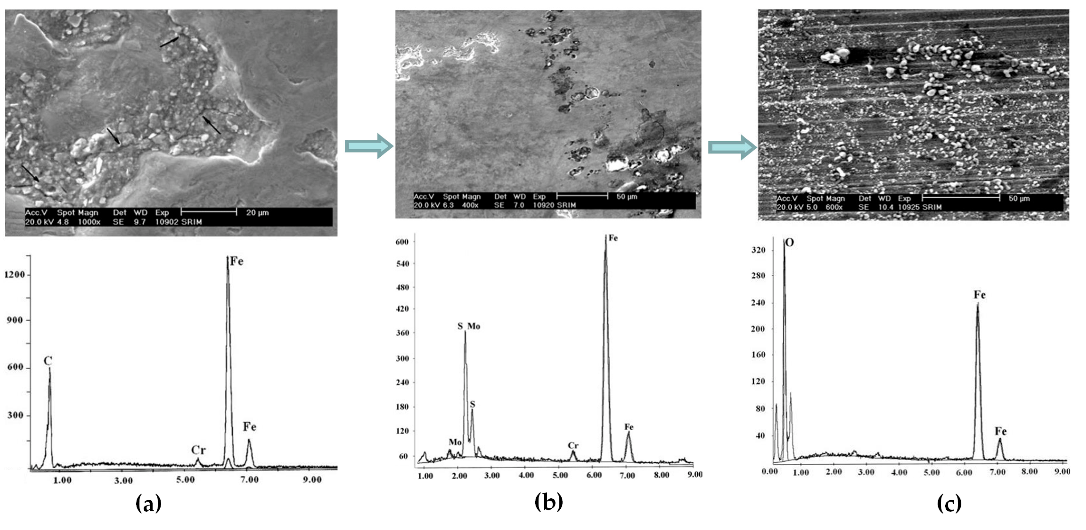 Polymers 14 03041 g006 550