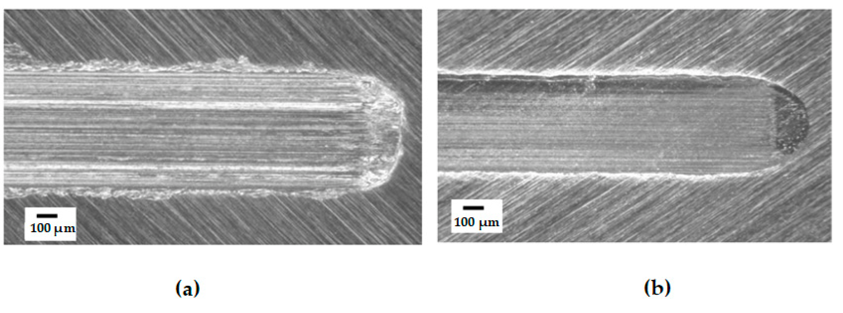 Polymers 14 03041 g014 550