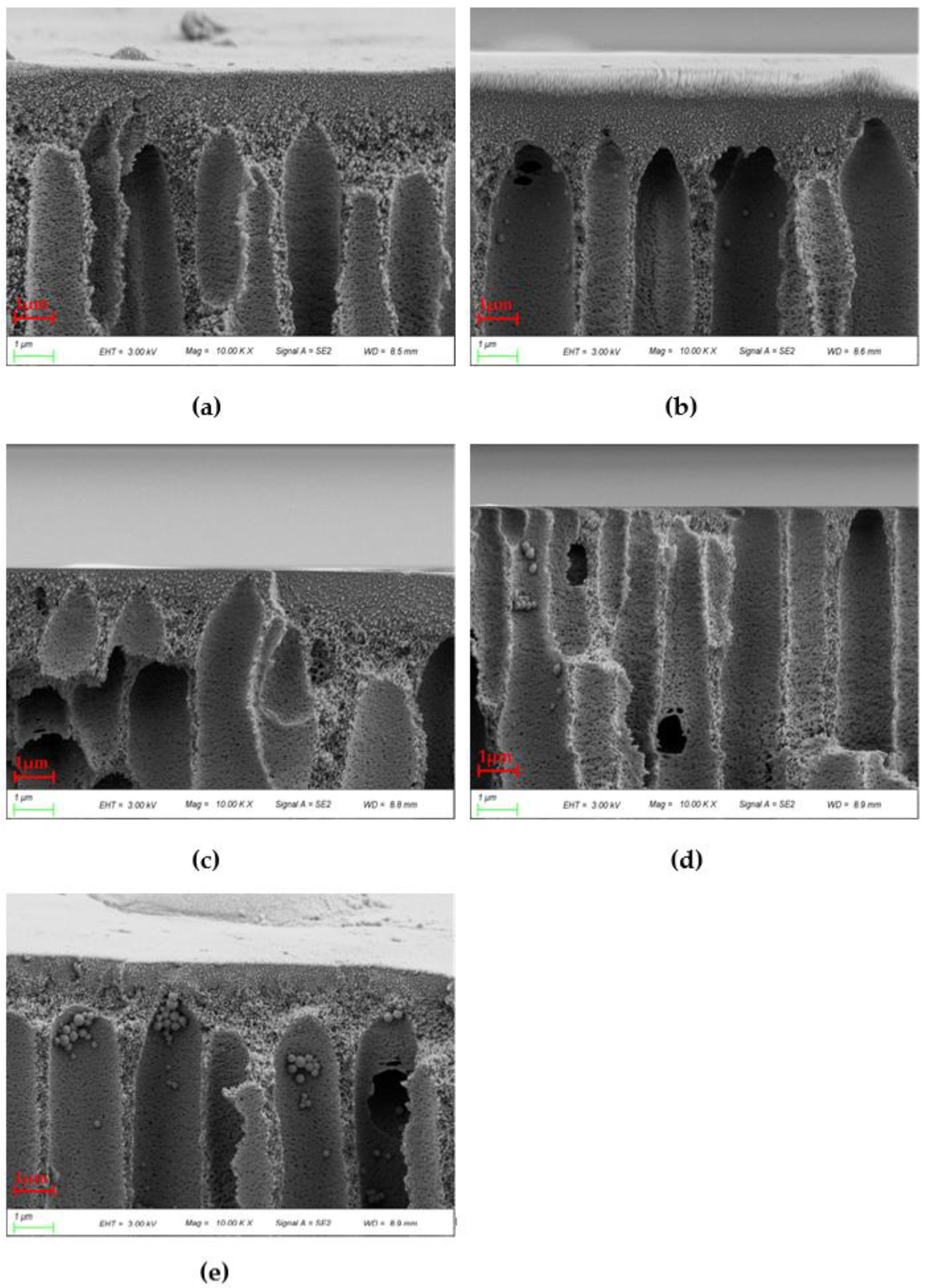 Polymers 14 03046 g008 Polymers 14 03046 g008
