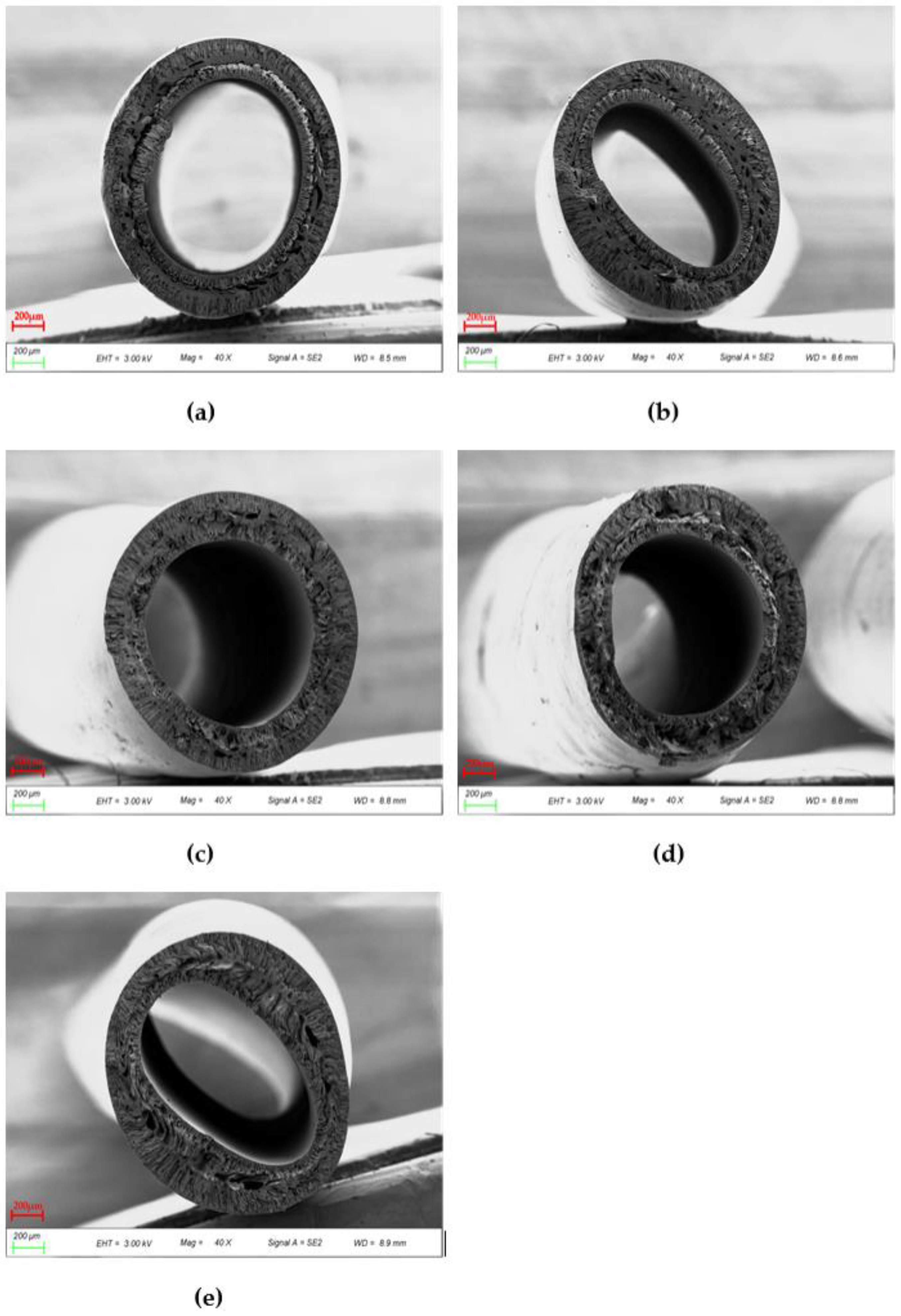 Polymers 14 03046 g009 Polymers 14 03046 g009