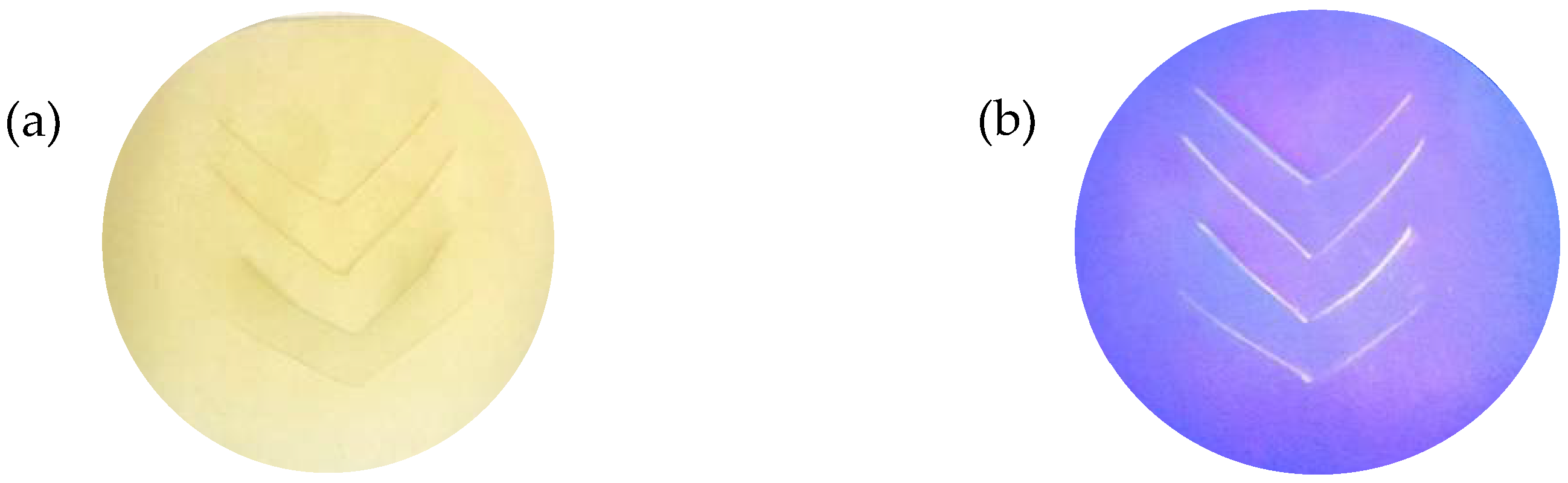 Polymers 14 03048 g003 Polymers 14 03048 g003