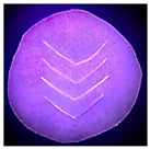 Polymers 14 03048 i001 Polymers 14 03048 i001