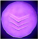 Polymers 14 03048 i002 Polymers 14 03048 i002