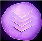 Polymers 14 03048 i006 Polymers 14 03048 i006