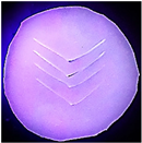 Polymers 14 03048 i008 Polymers 14 03048 i008