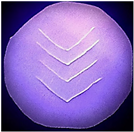 Polymers 14 03048 i009 Polymers 14 03048 i009