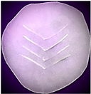 Polymers 14 03048 i011 Polymers 14 03048 i011