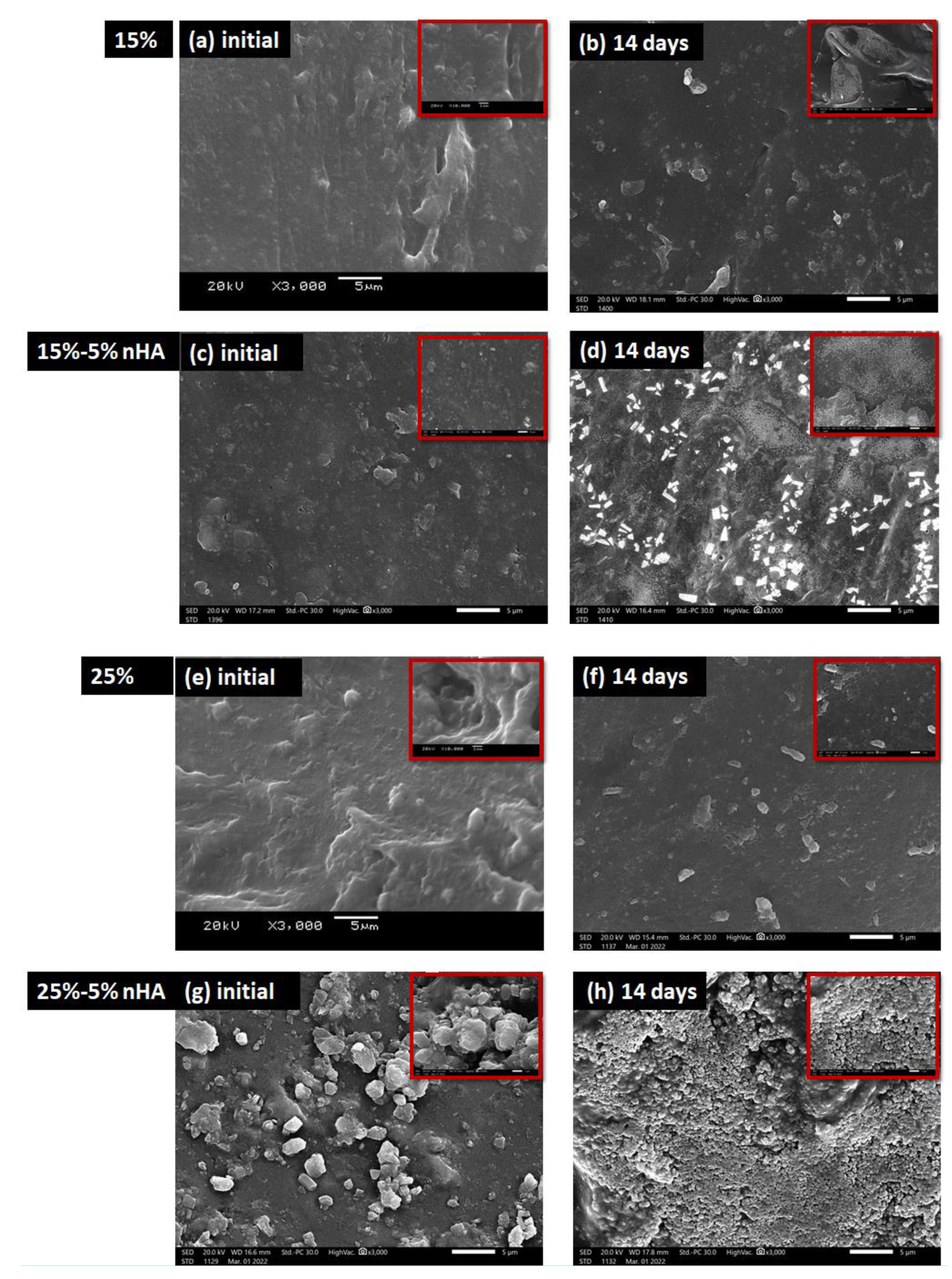 Polymers 14 03052 g010