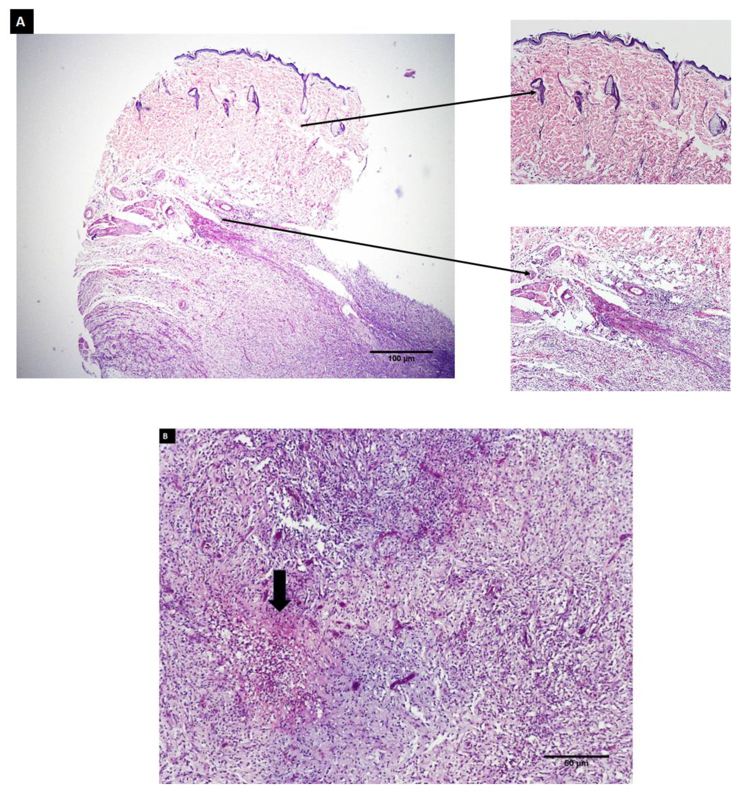 Polymers 14 03052 g012