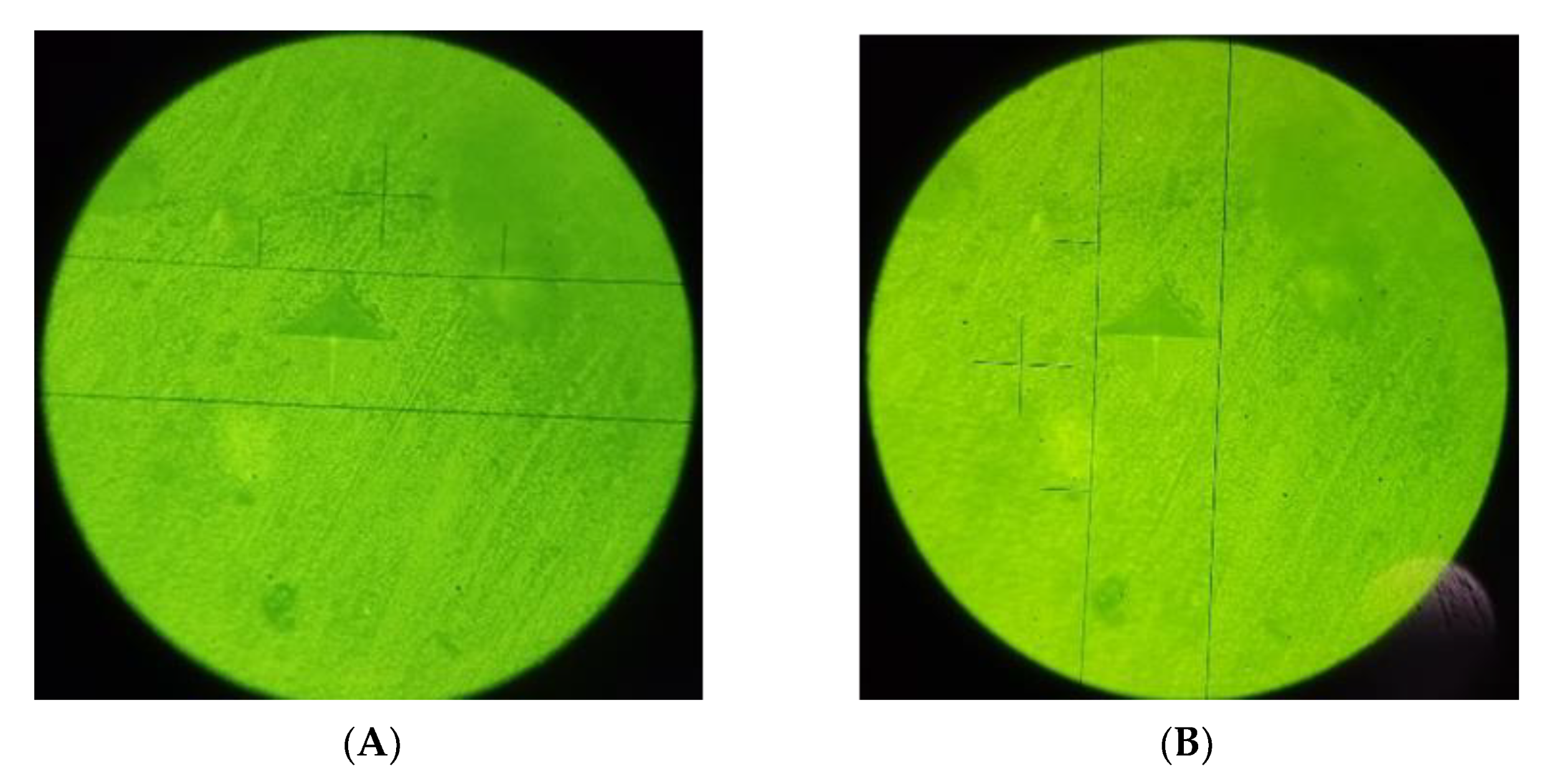 Polymers 14 03053 g006