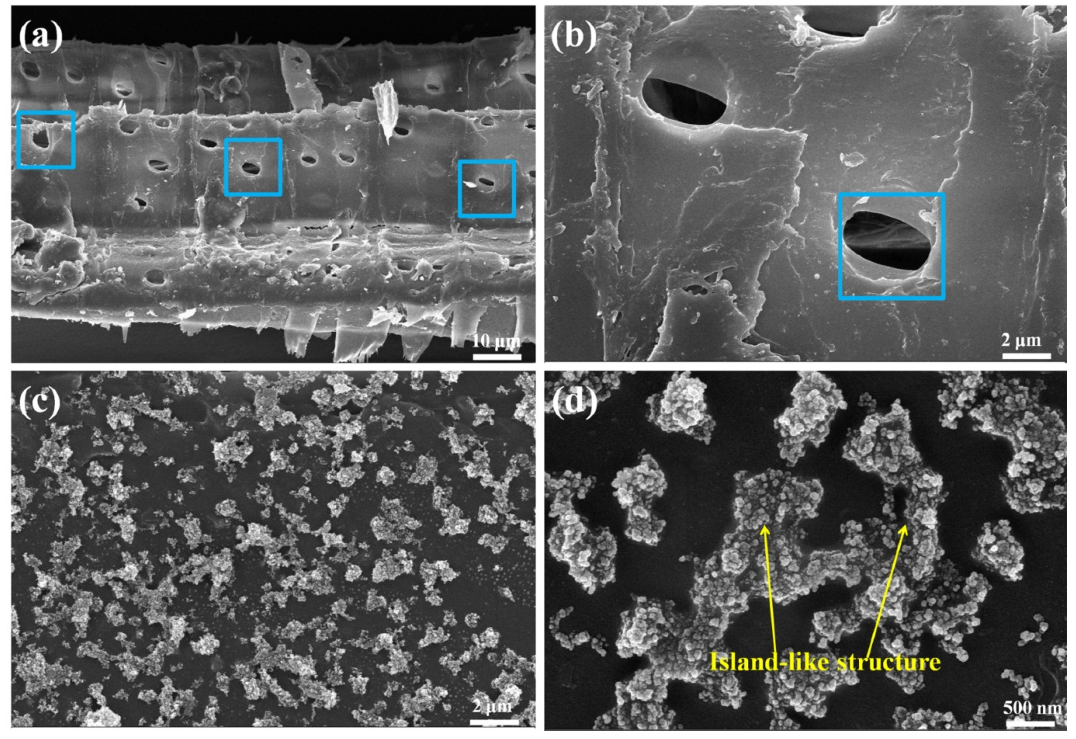 Polymers 14 03062 g004 550