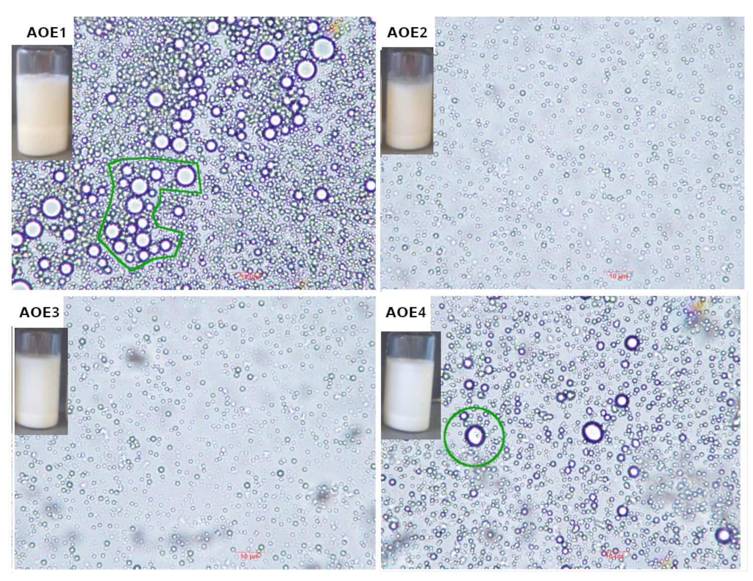 Polymers 14 03064 g002 550