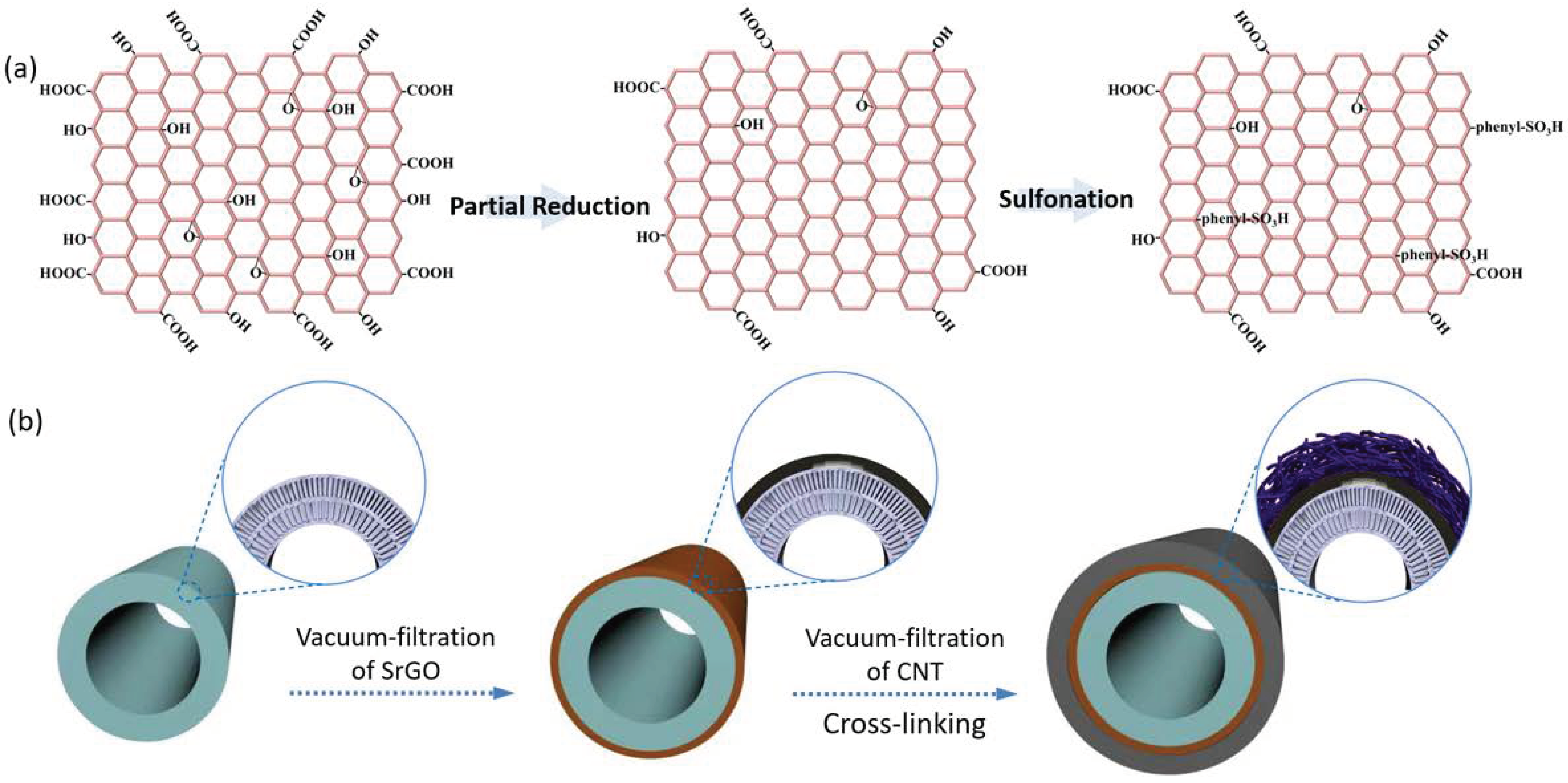 Polymers 14 03068 g001 550