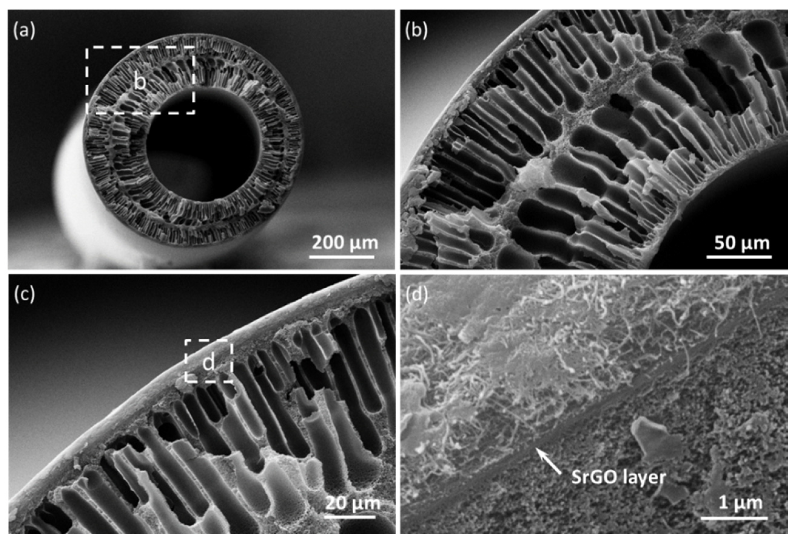 Polymers 14 03068 g003 550